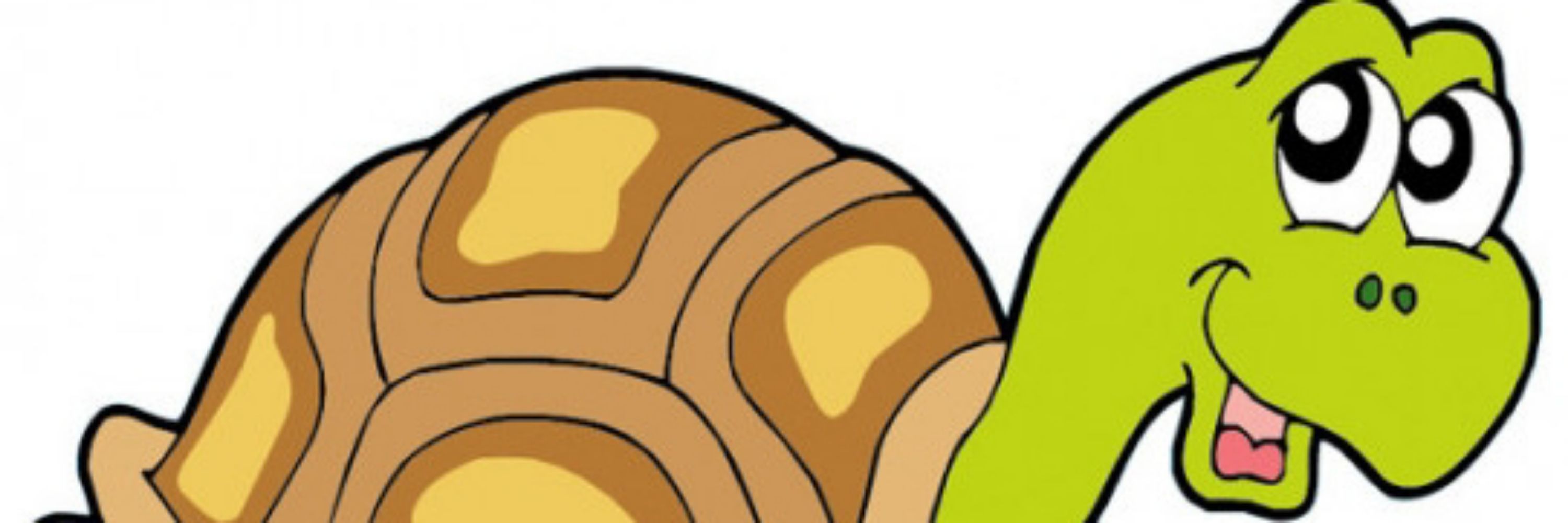 Chris Aff 🐢 ✊️ 🔻🦺🕊
