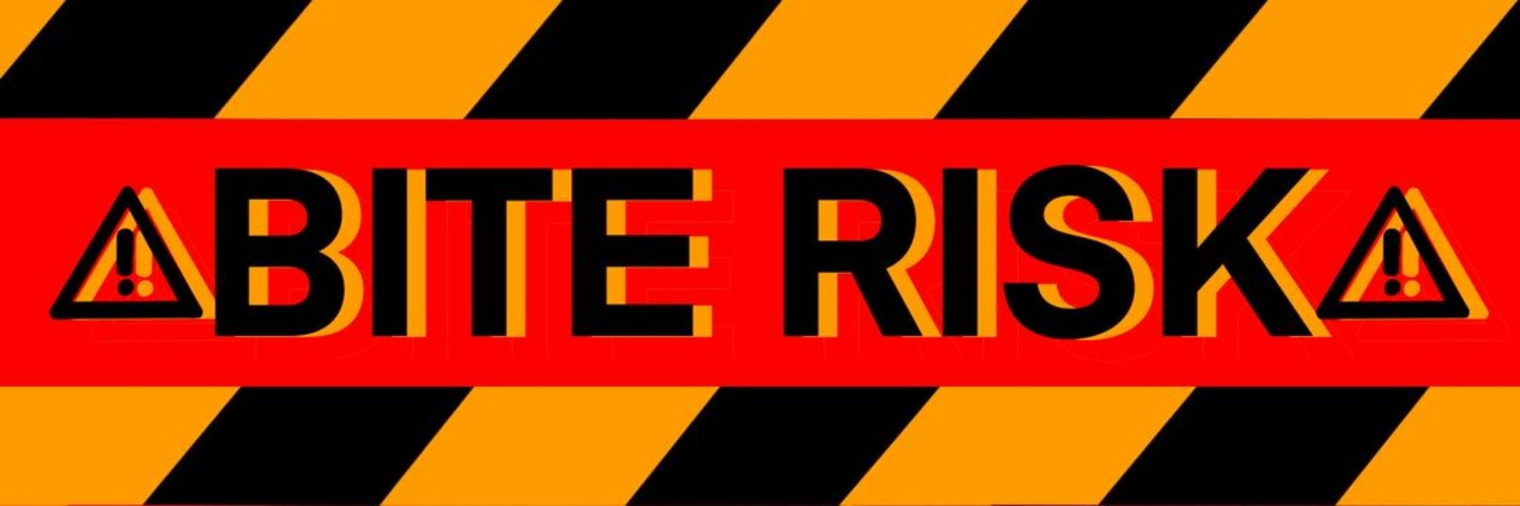 BIT3RISK ➡️ RUFF!