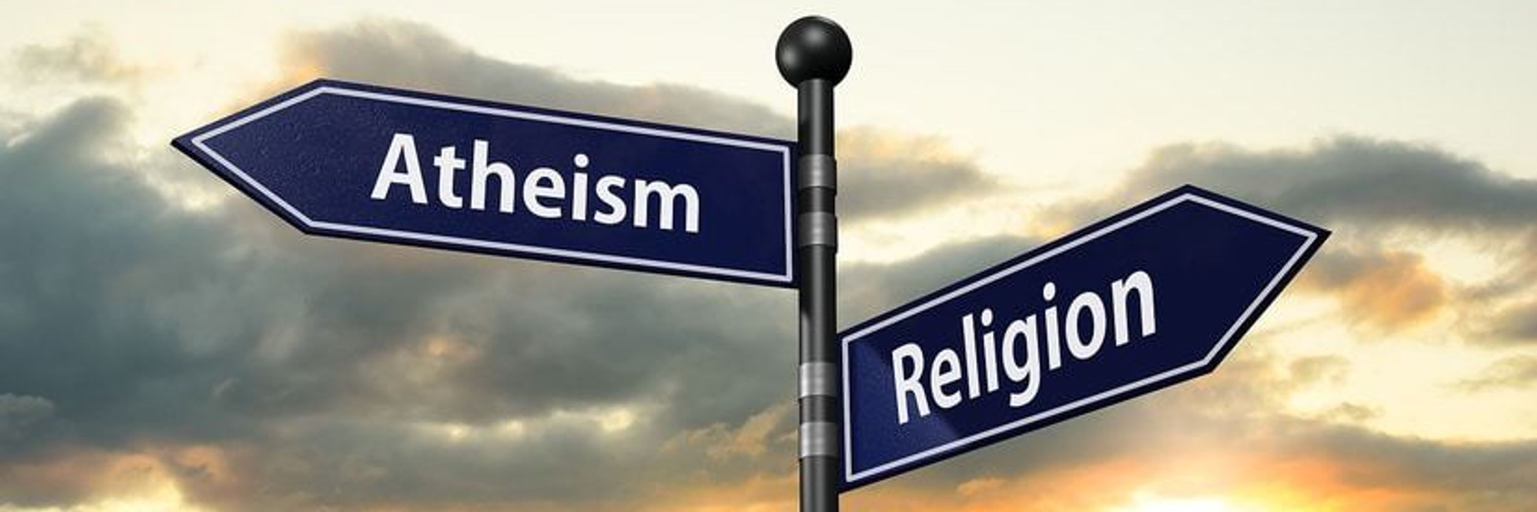 FUCK YEAH RELIGION PIGEON