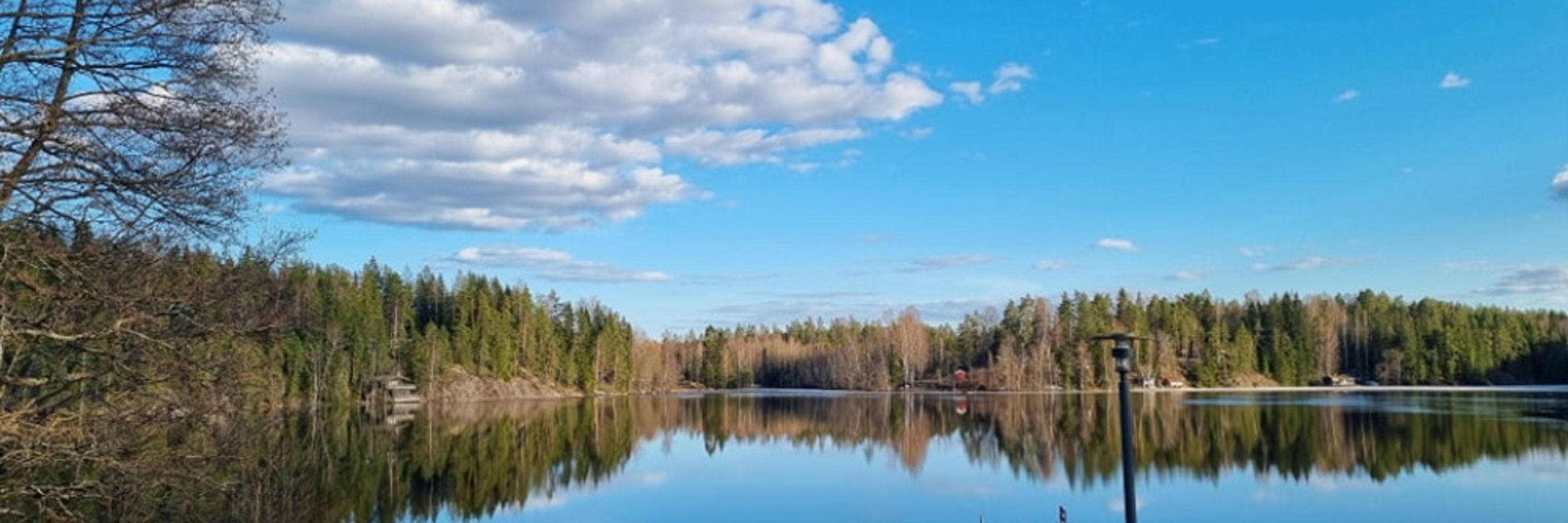 Kaisa Vitikainen