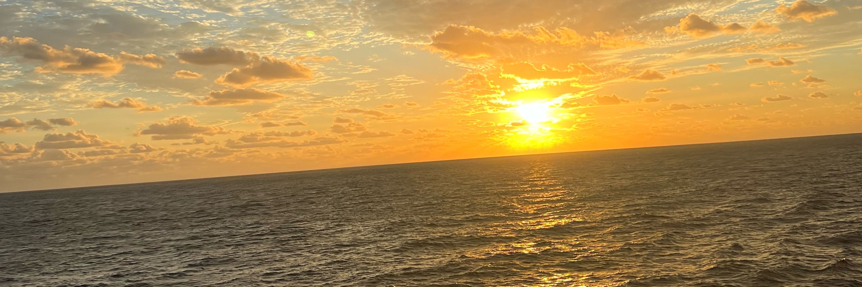 Linda Hobkirk 🌻🦋🌻🛳️🏖️🧳