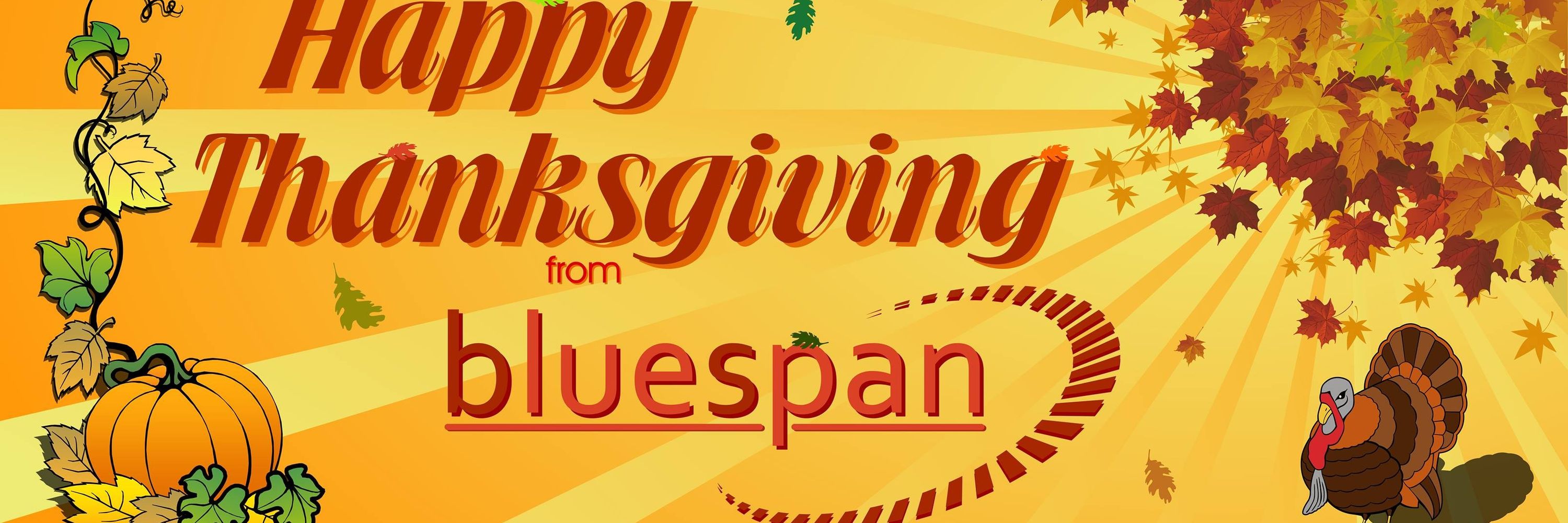 Bluespan Internet