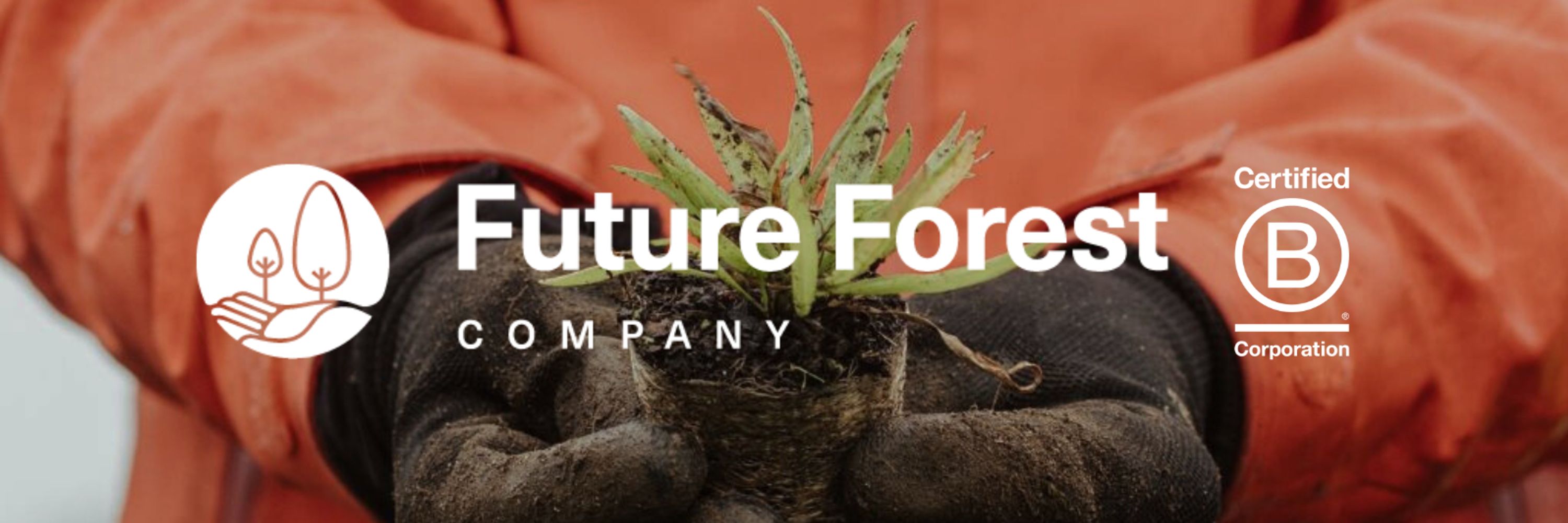 The Future Forest Company