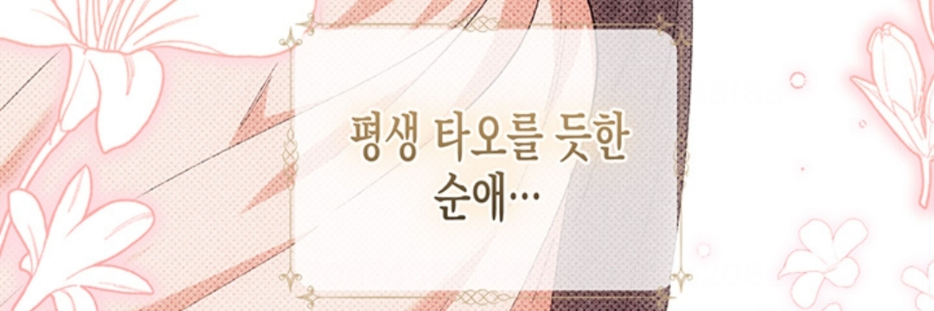 쪠