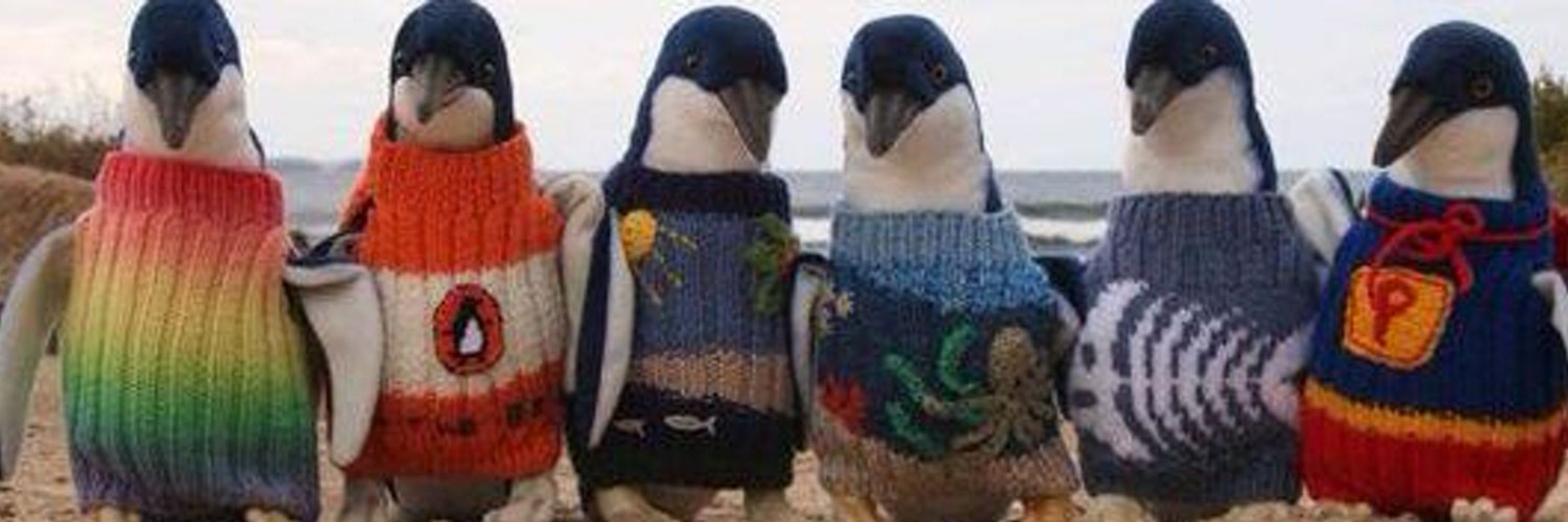 Penguin2025™️
