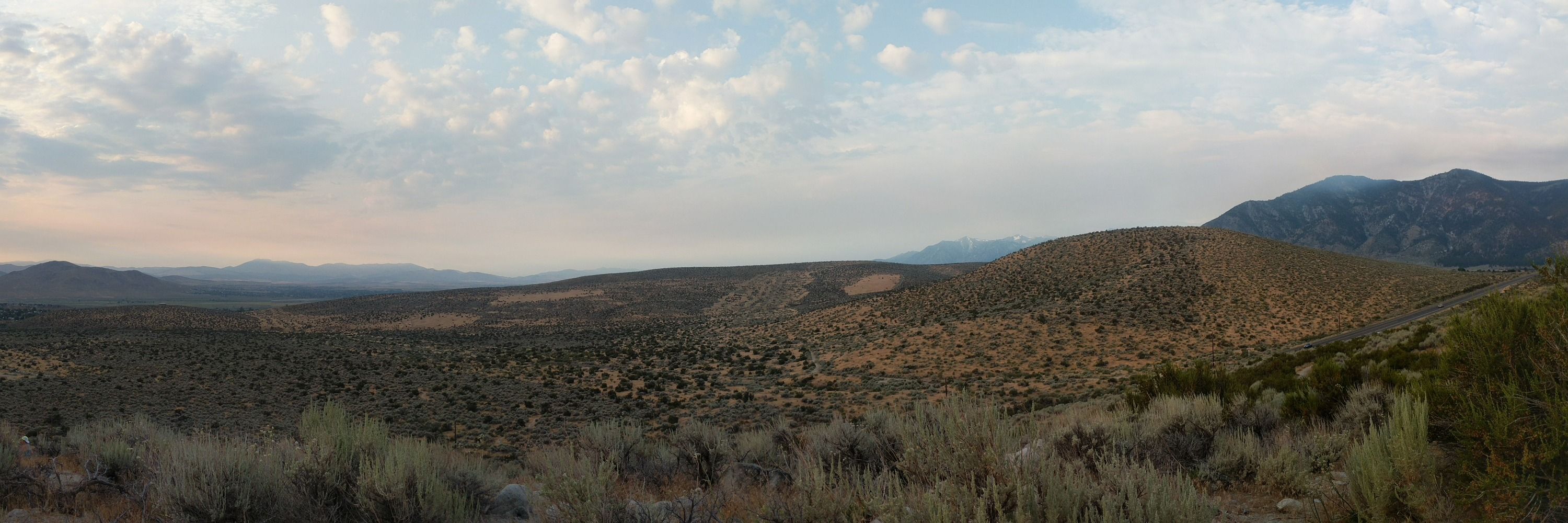 greyjasper