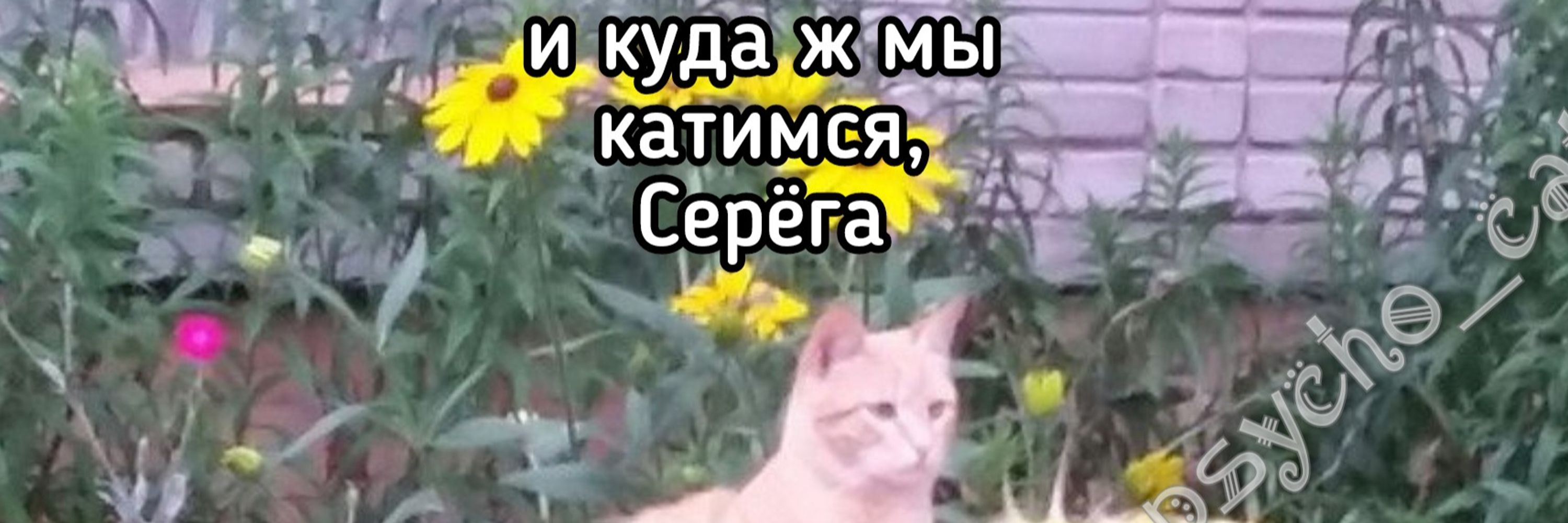 С. В. Поляков