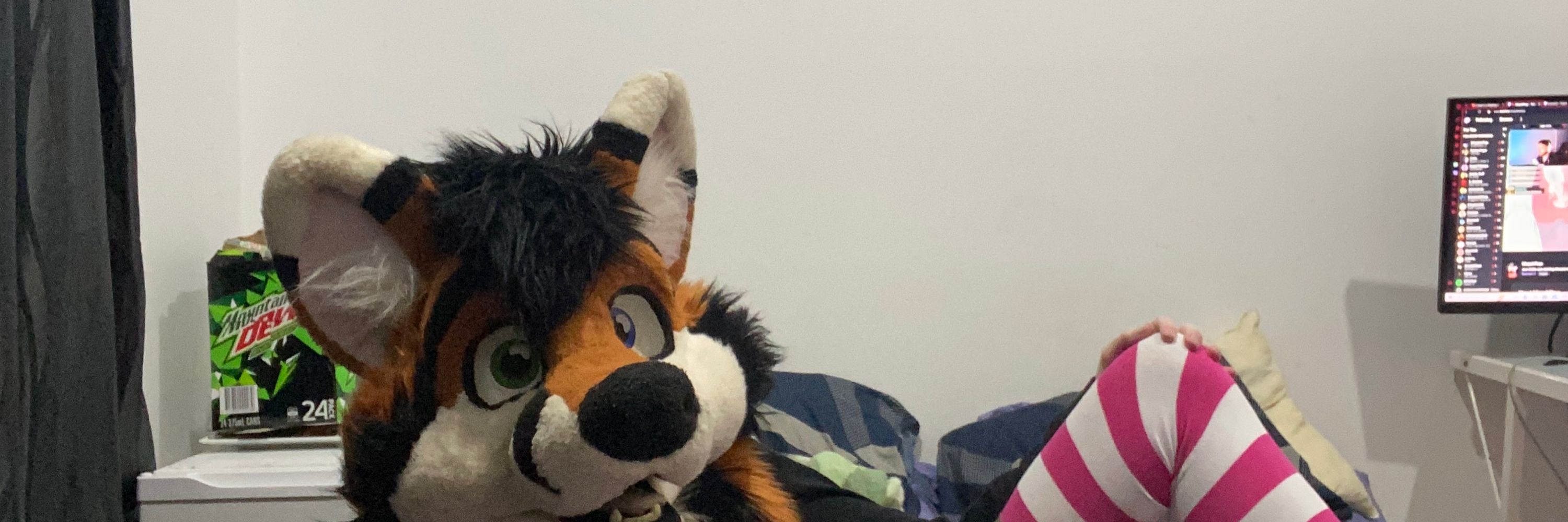 AstraTheFoxy(AD)