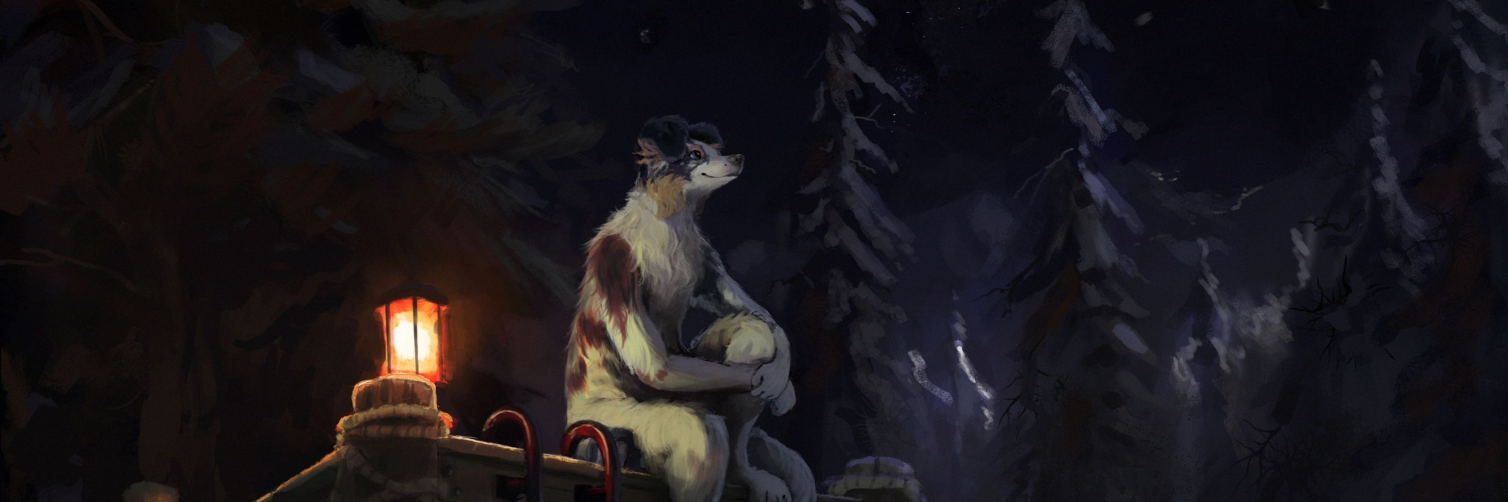 Mark the Collie