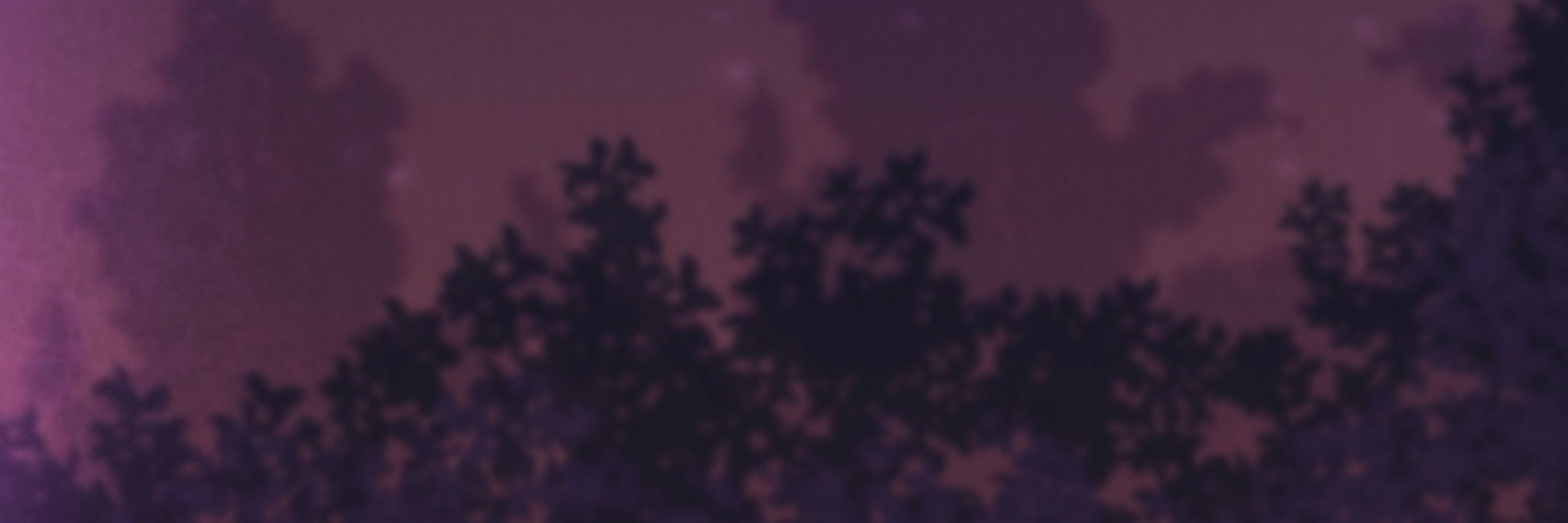 Dyana Morrigan  |  Narrator & Voice Over Artist 