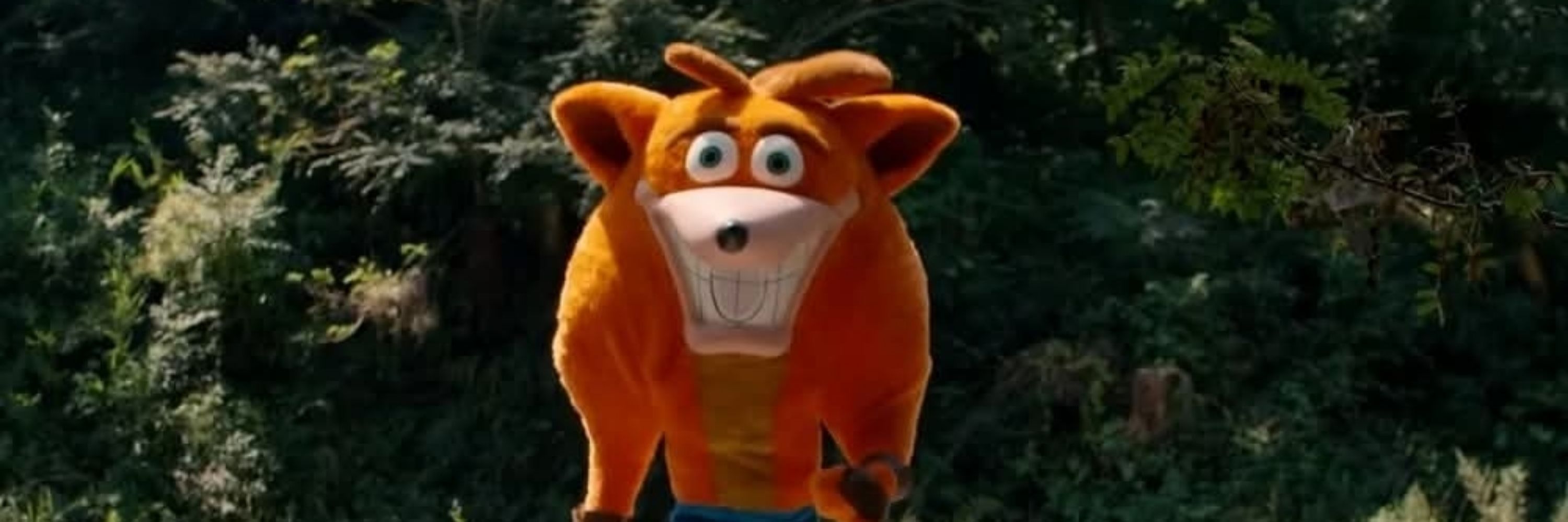 Dingo