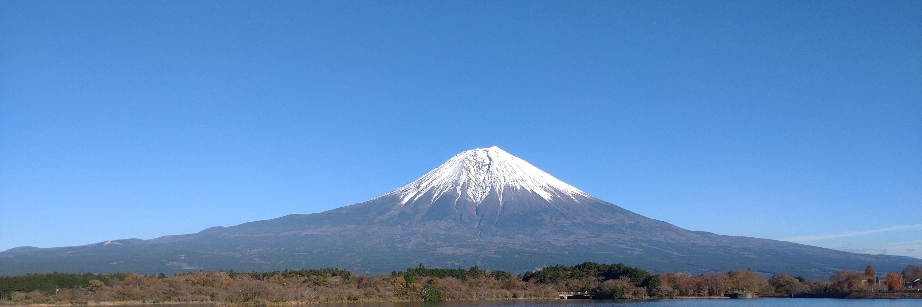 いけぽん