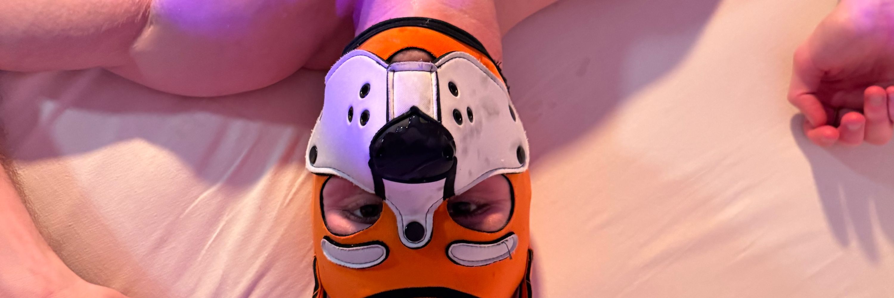 Pup Chaos 🤜🧡🐾