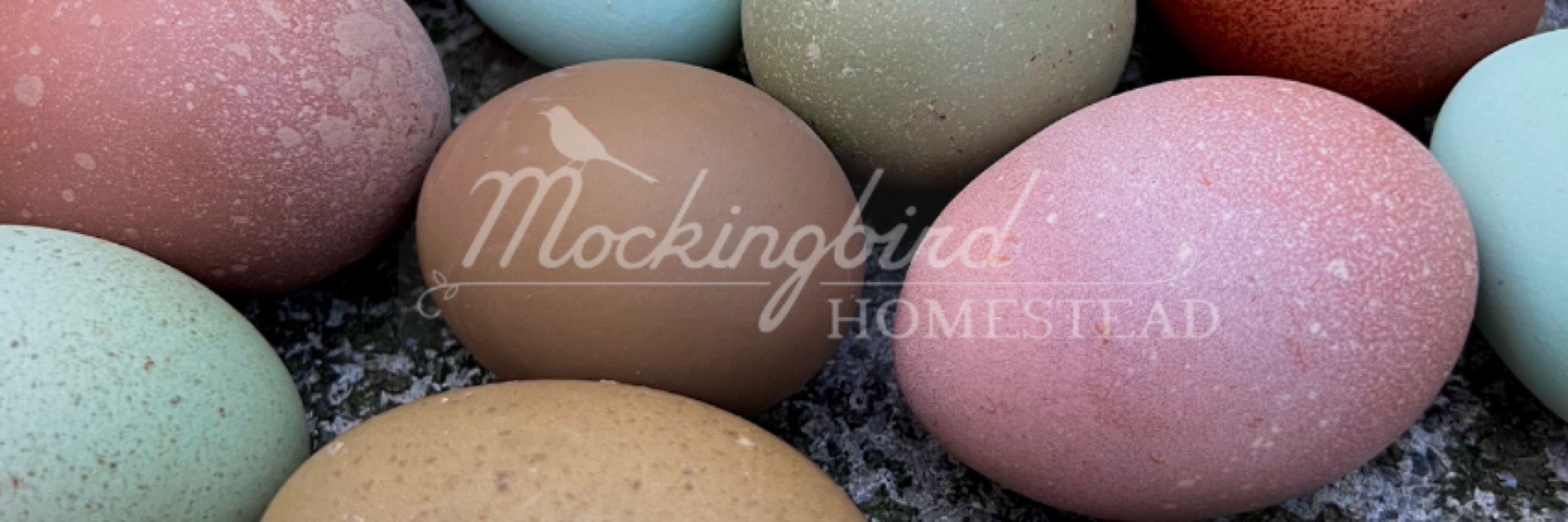 Mockingbird Homestead