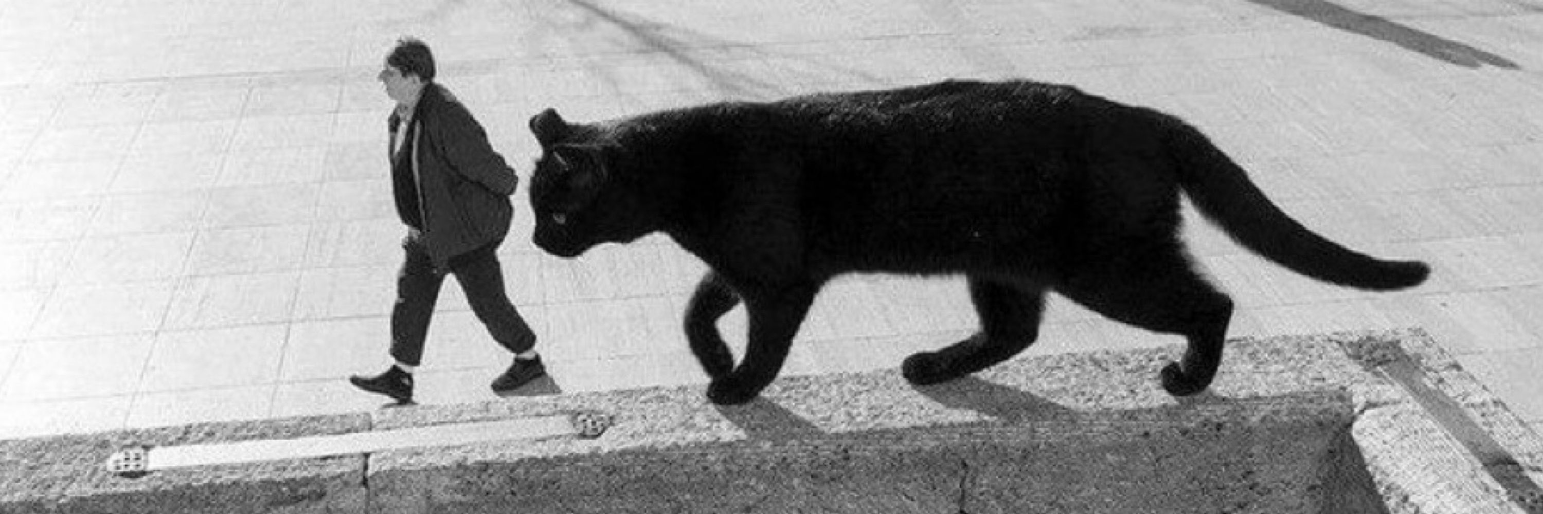 Silent Walker