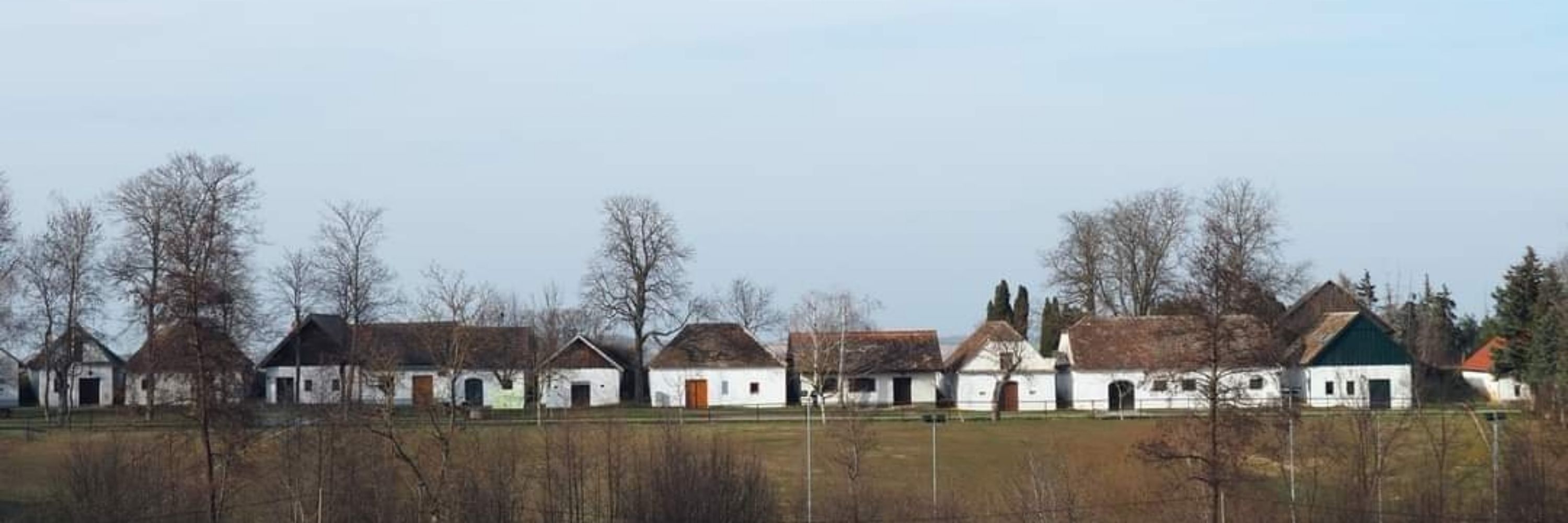 Thomas Ruzicka