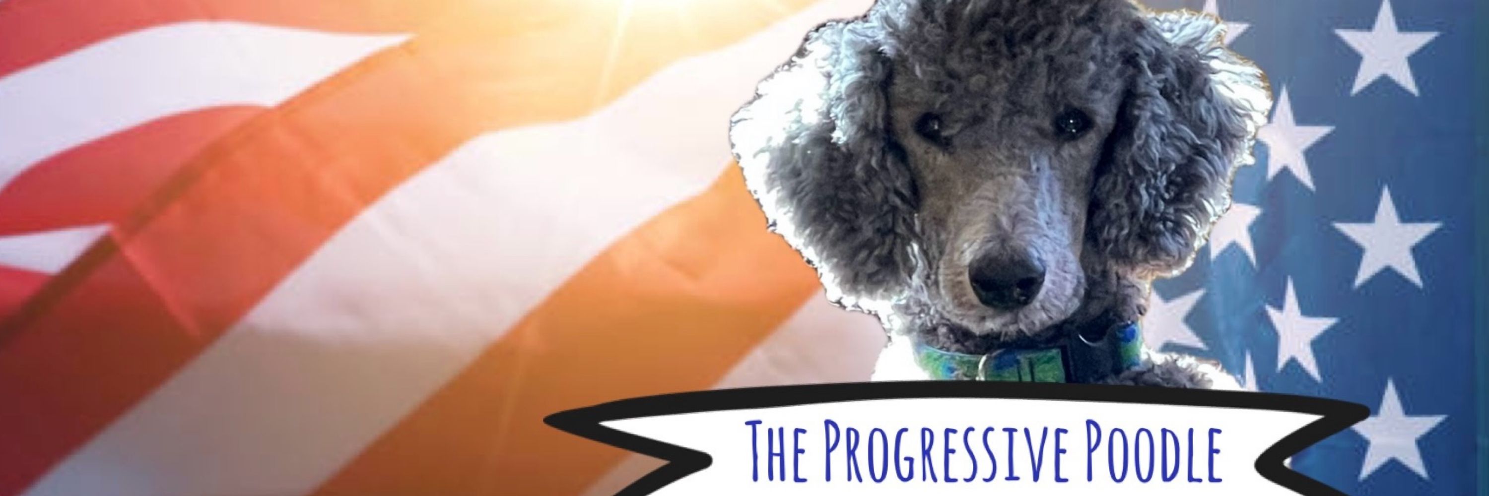 The Progressive Poodle