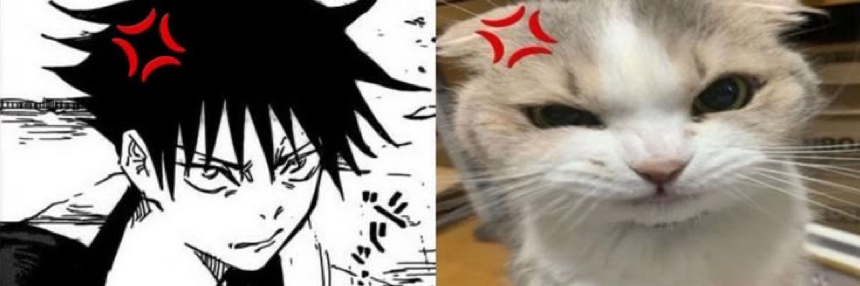 beef vee (¬_¬")