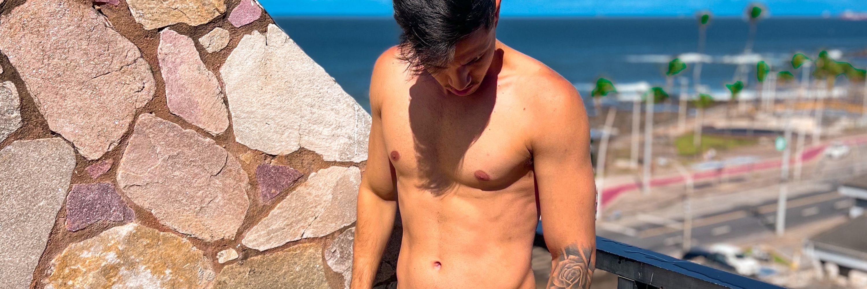 GABRIEL BRANDÃO 🔥