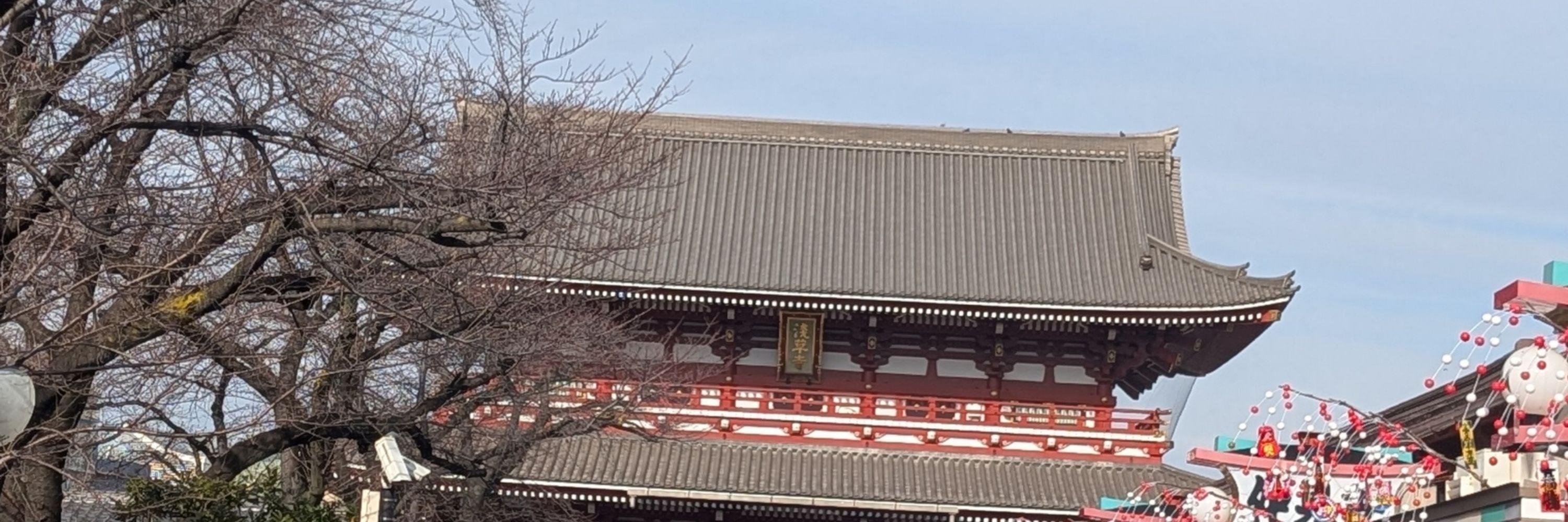 たくみ