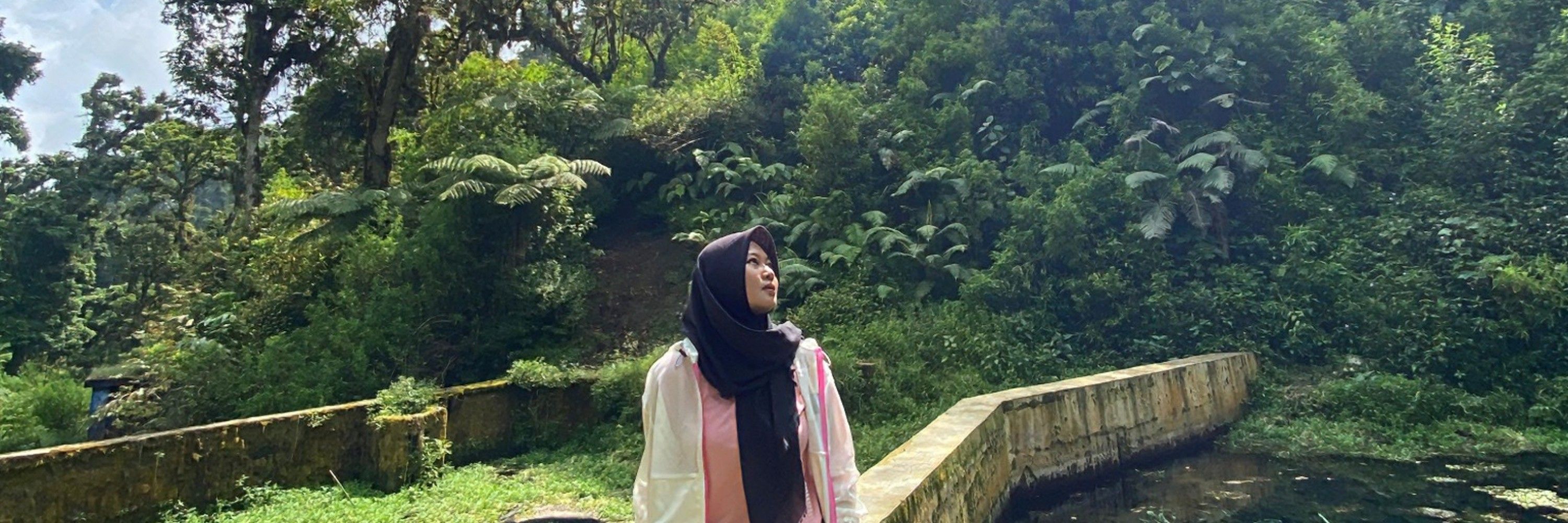 aeiln