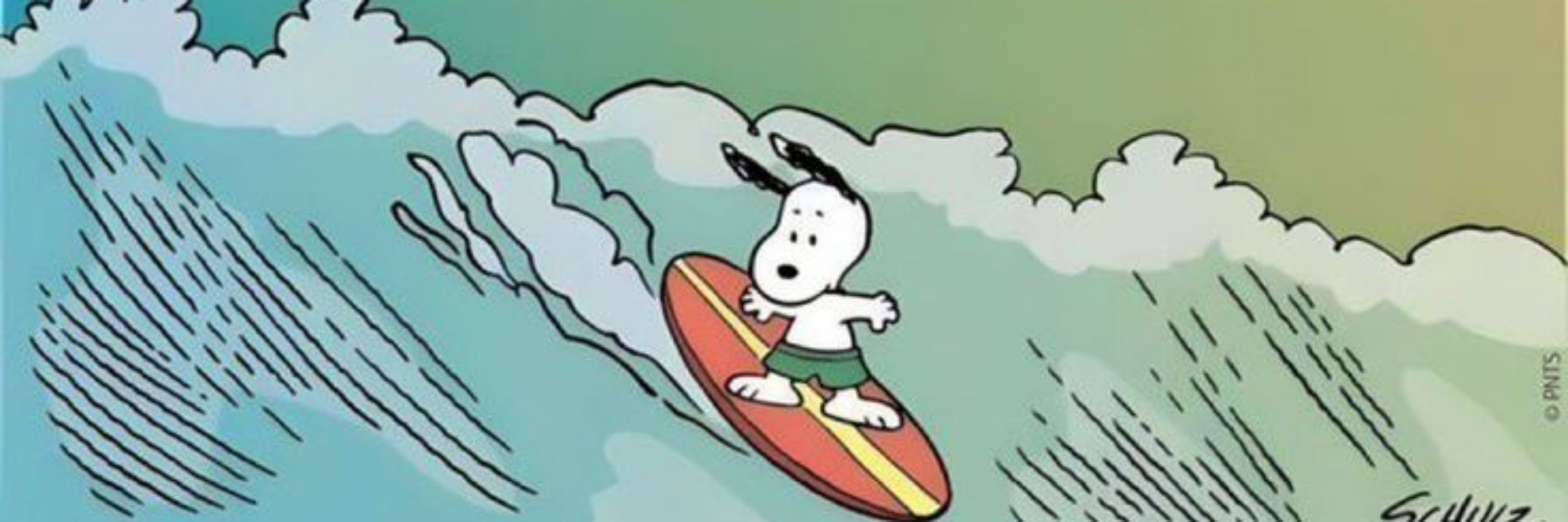 tyler-tom of Snoopy' ੯‧̀͡⬮