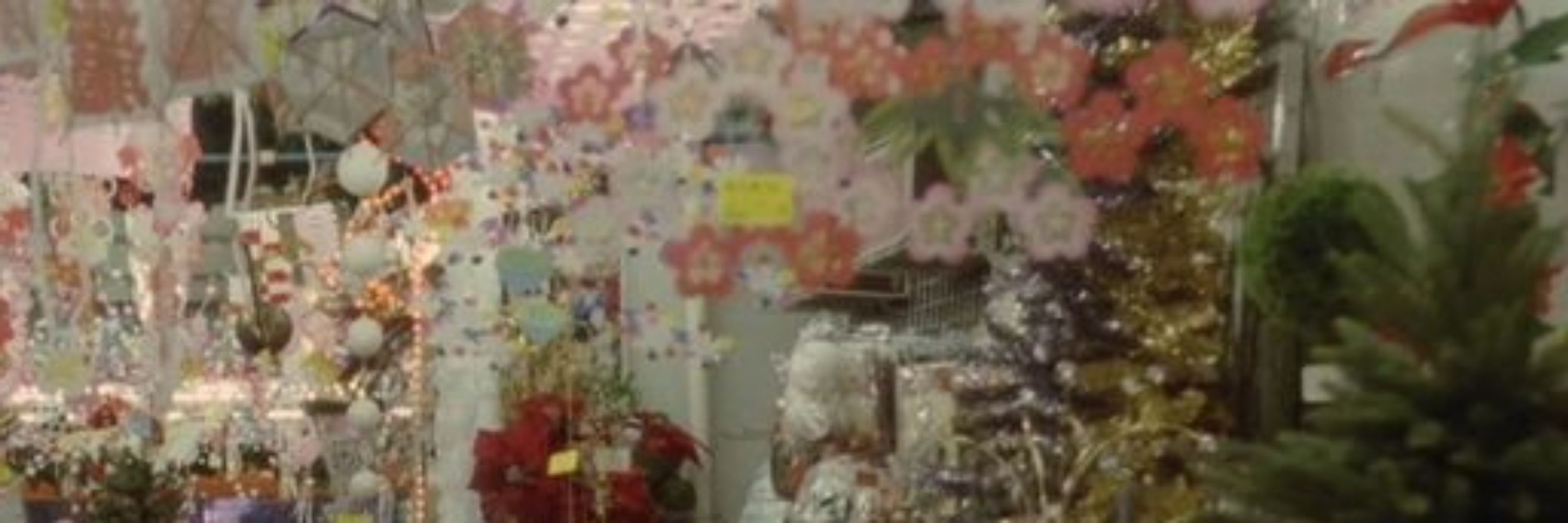    ᯓ✦ ym☆k : SANCTUARY !!