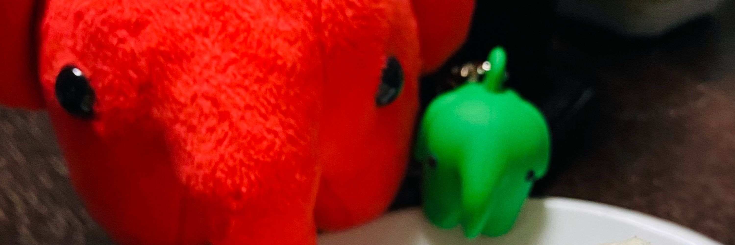 ミクラヨル