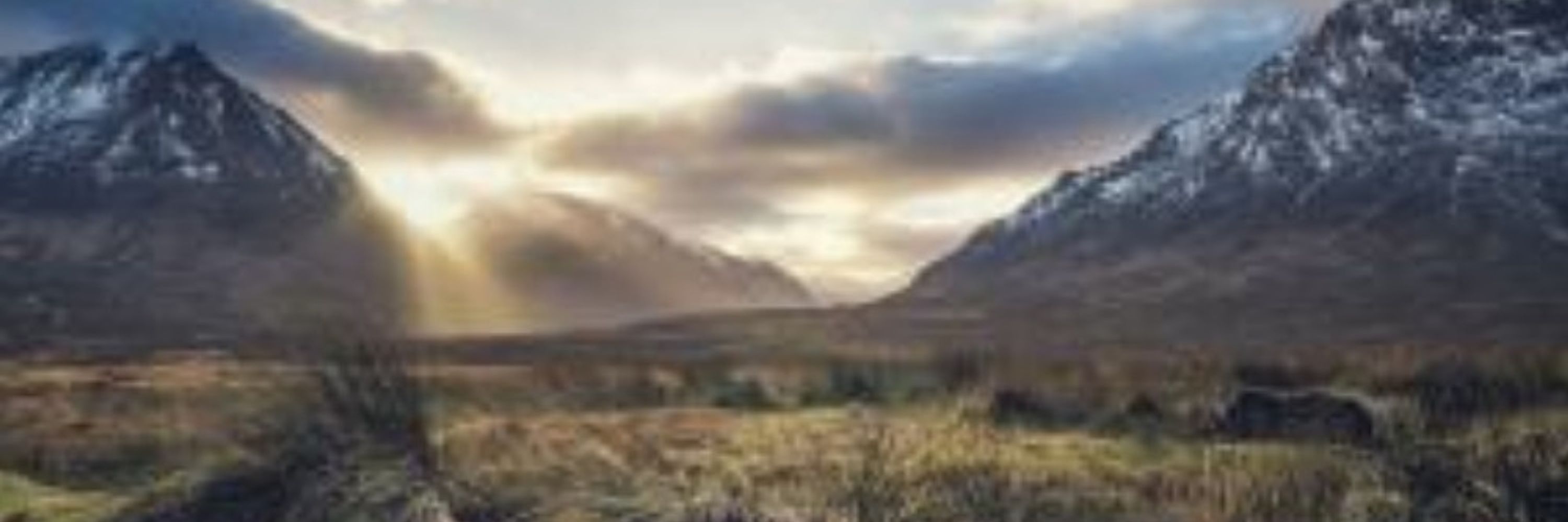 Blogscot