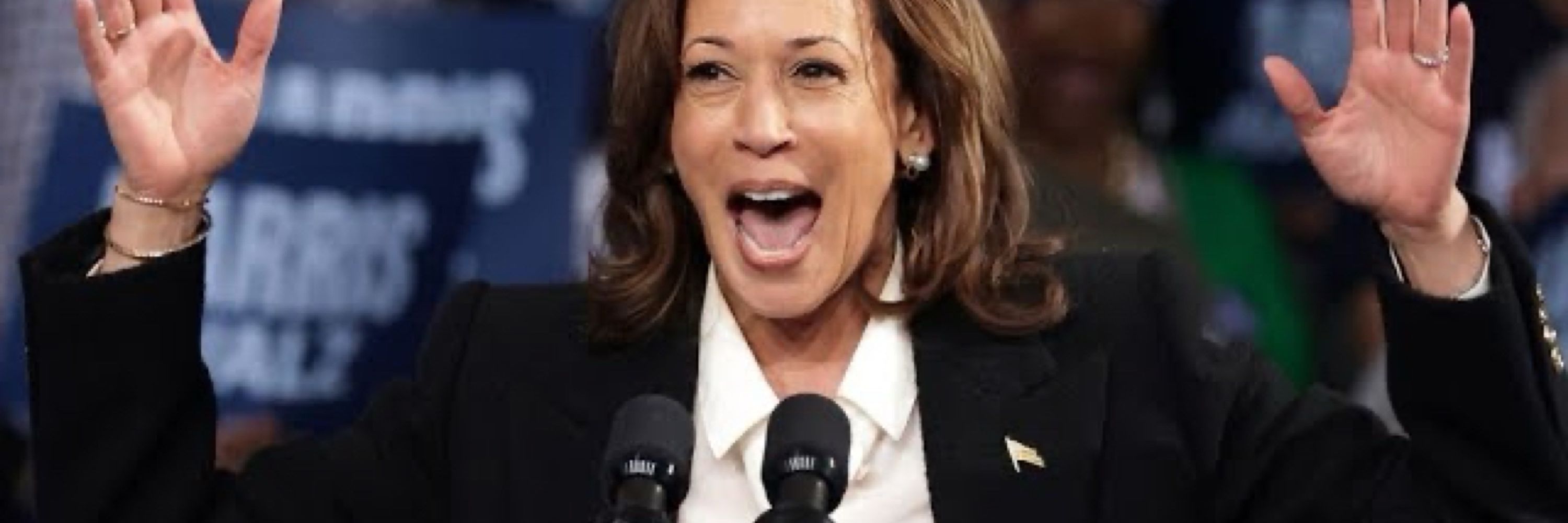 Kamala’s coconuts🌊🌴🏳️‍🌈🇺🇦🥥