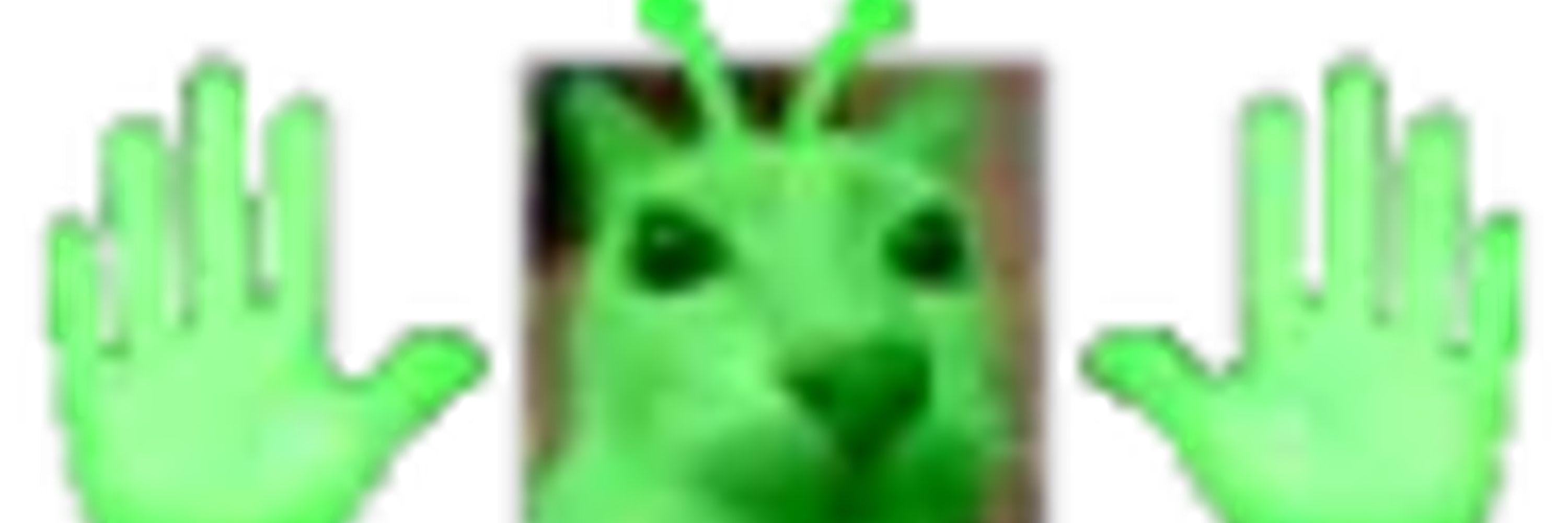 TayGL