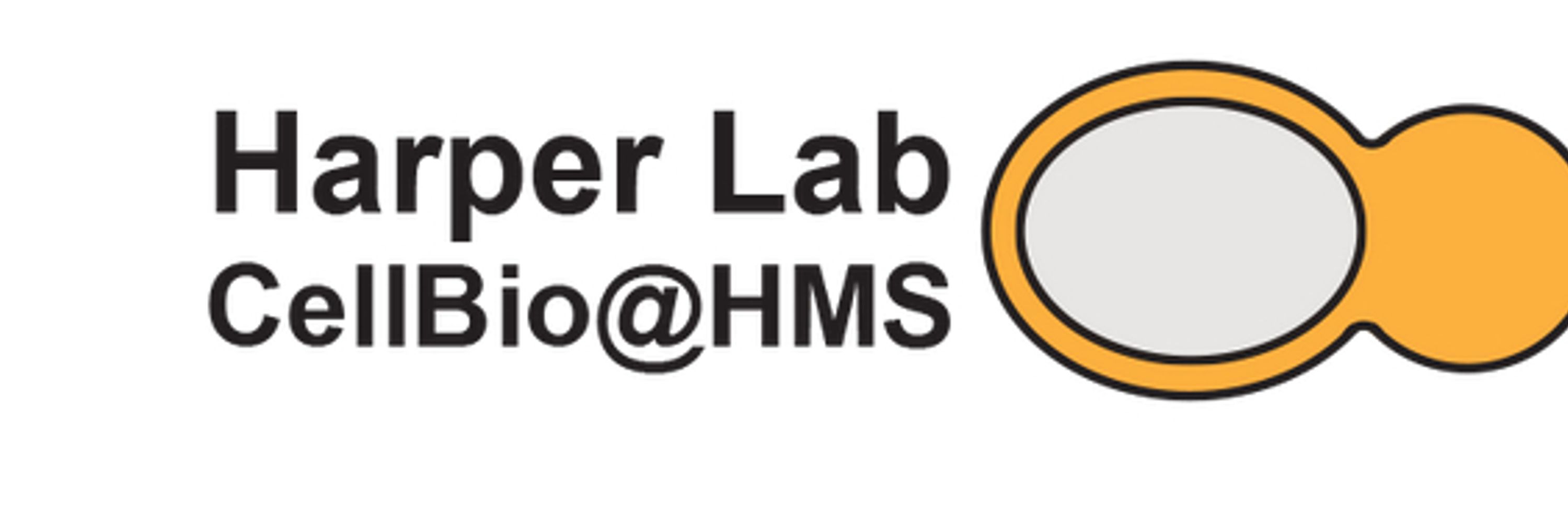 Wade Harper Lab
