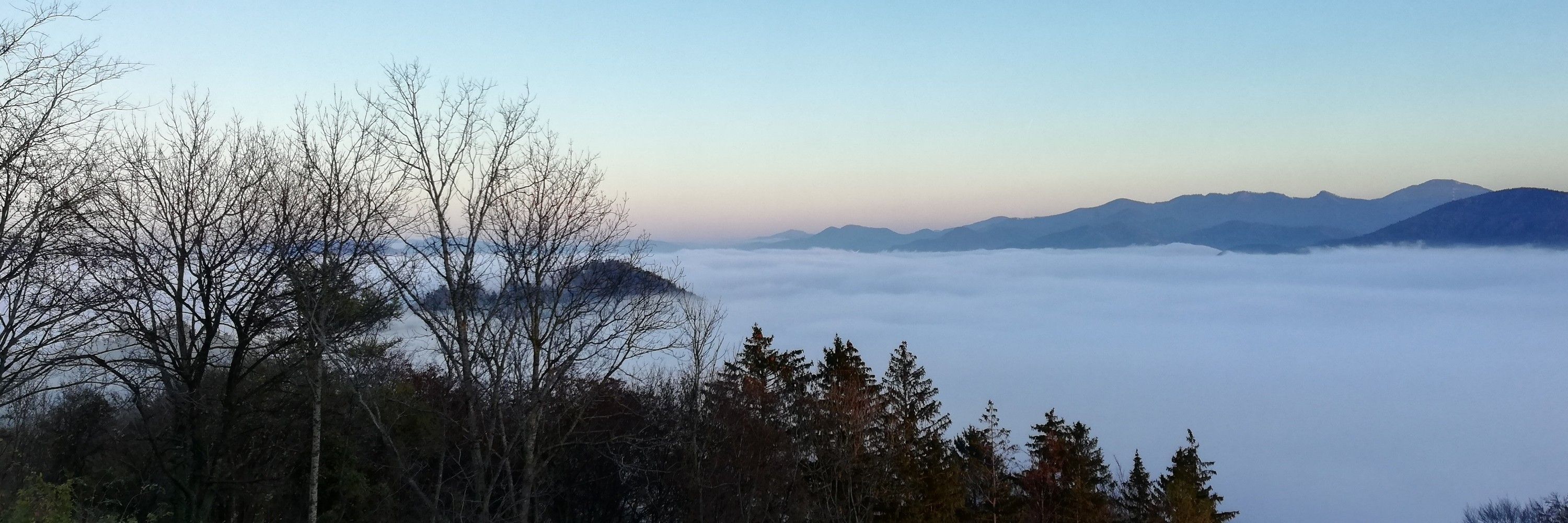 AmsS-Wunderland