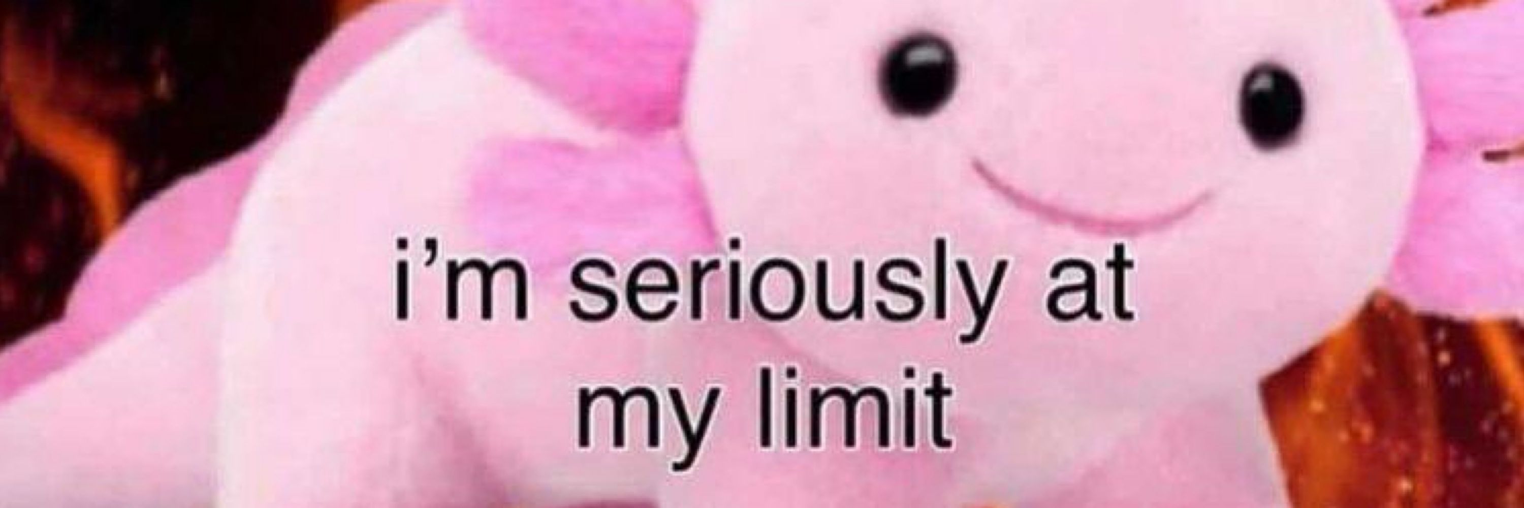 Jipachu
