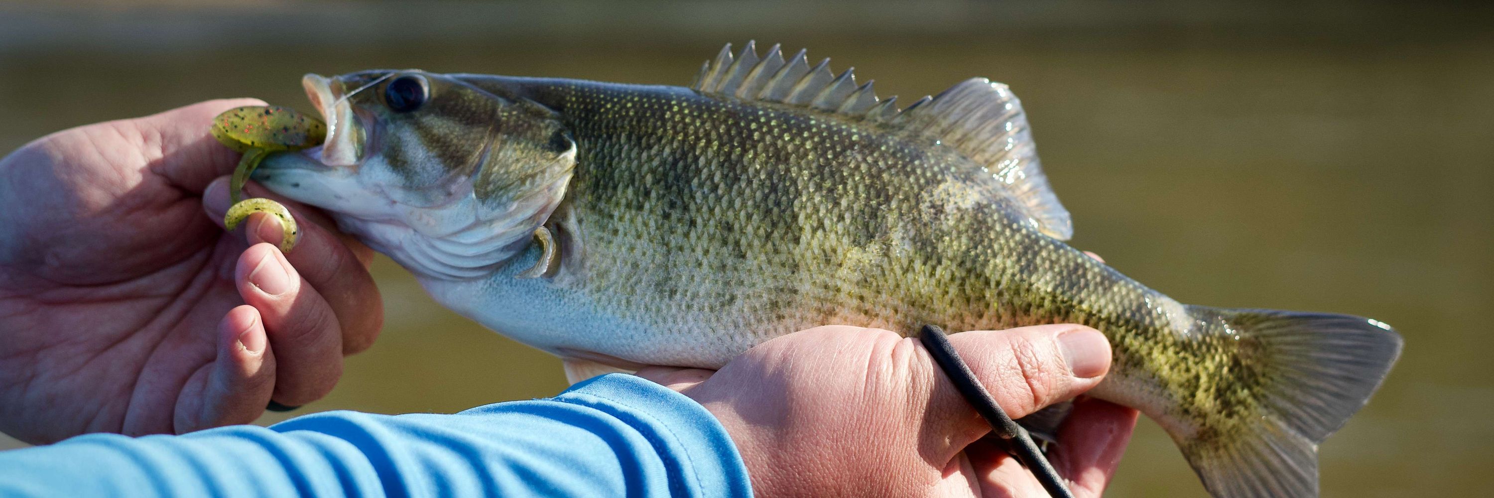 Flint Riverkeeper, Inc. 
