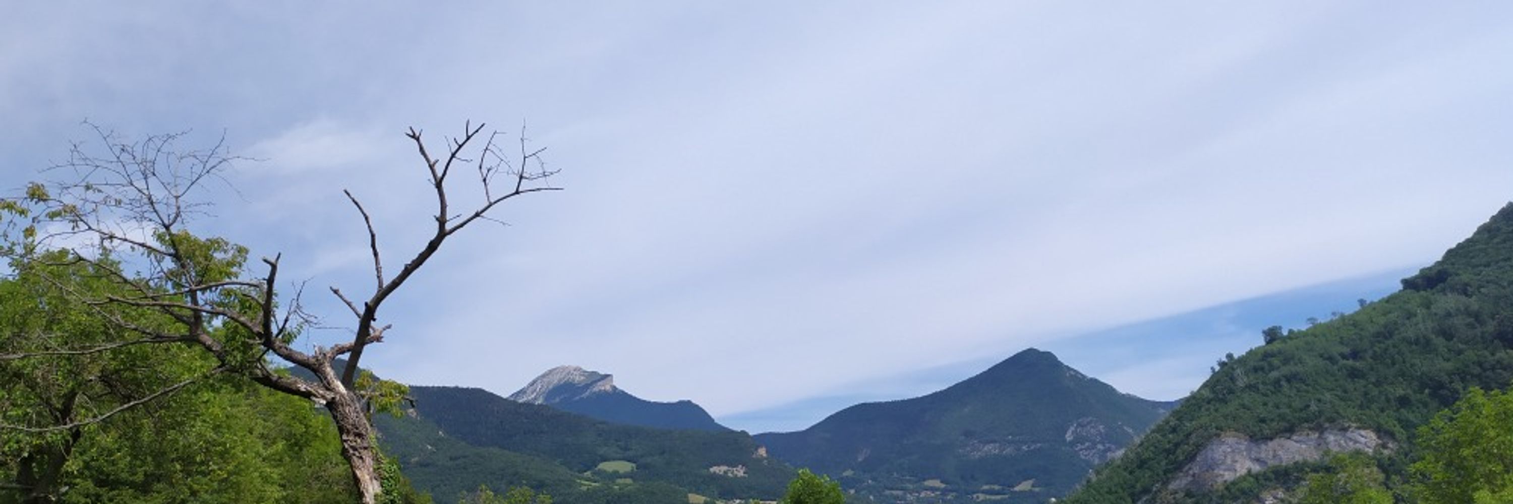 Gaëlle