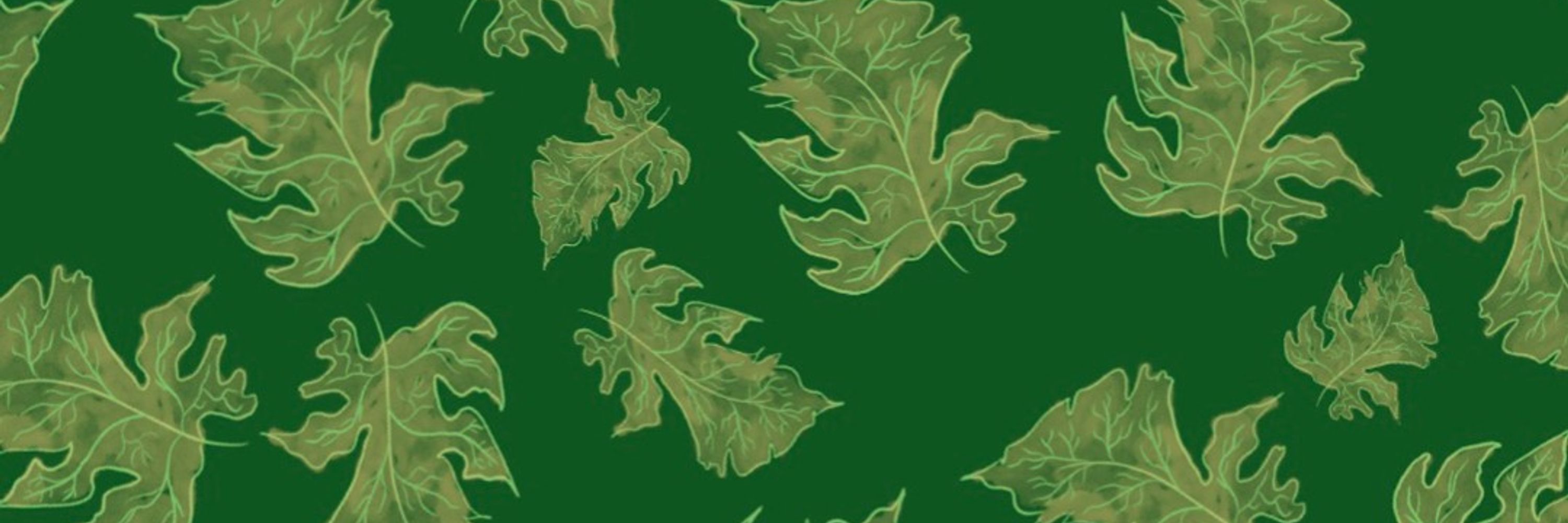 arlo elm