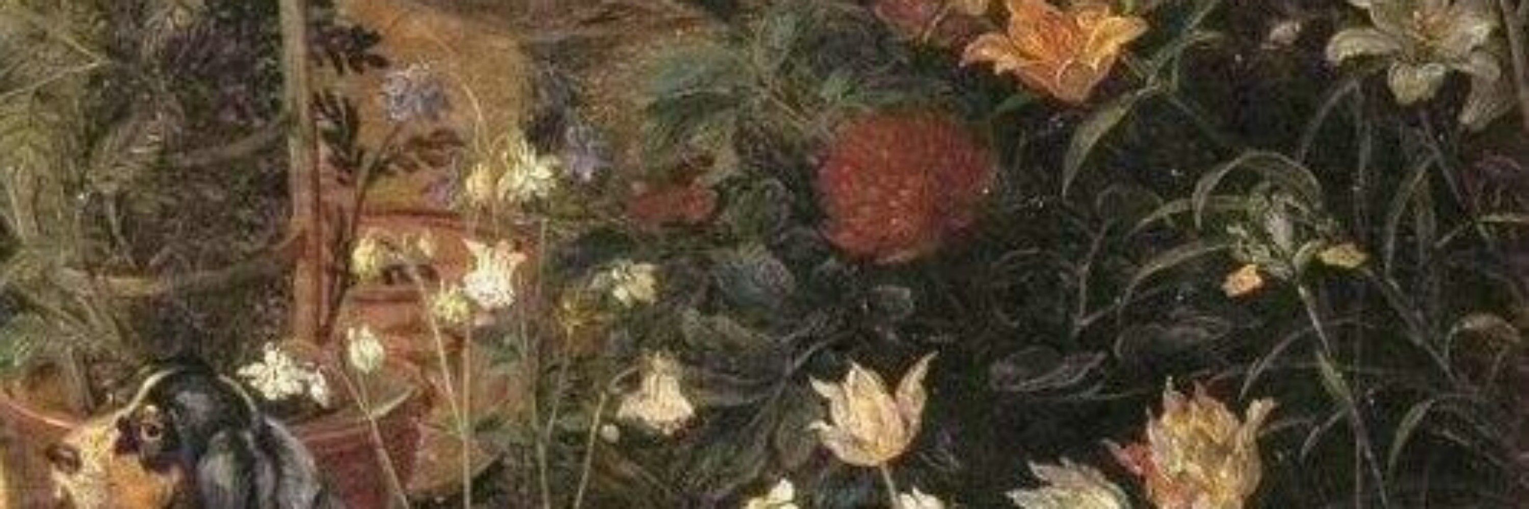 sasa