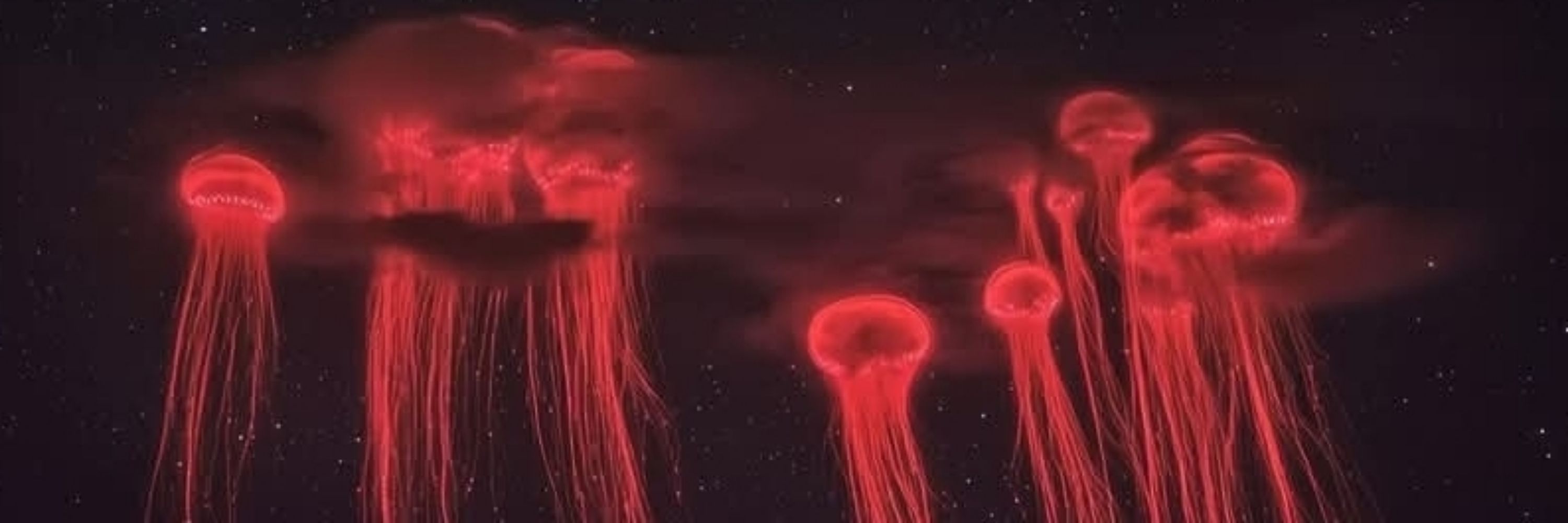 Viscid dreams