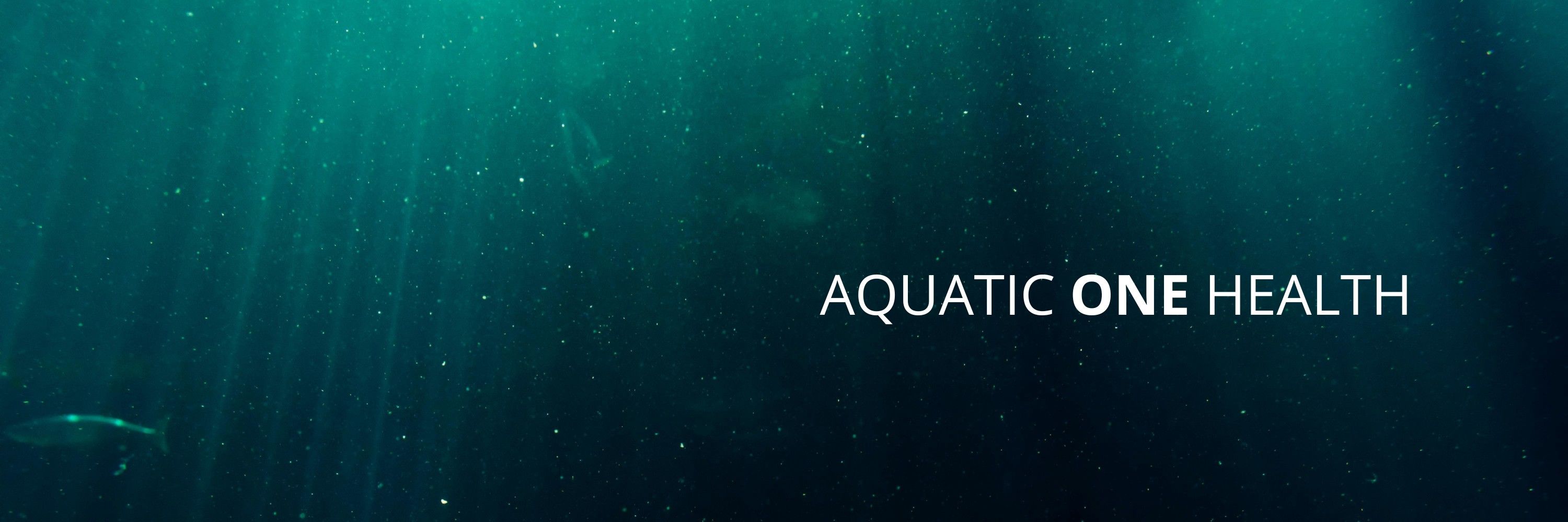 ARCUS Aquatic One Health Research Center – USC