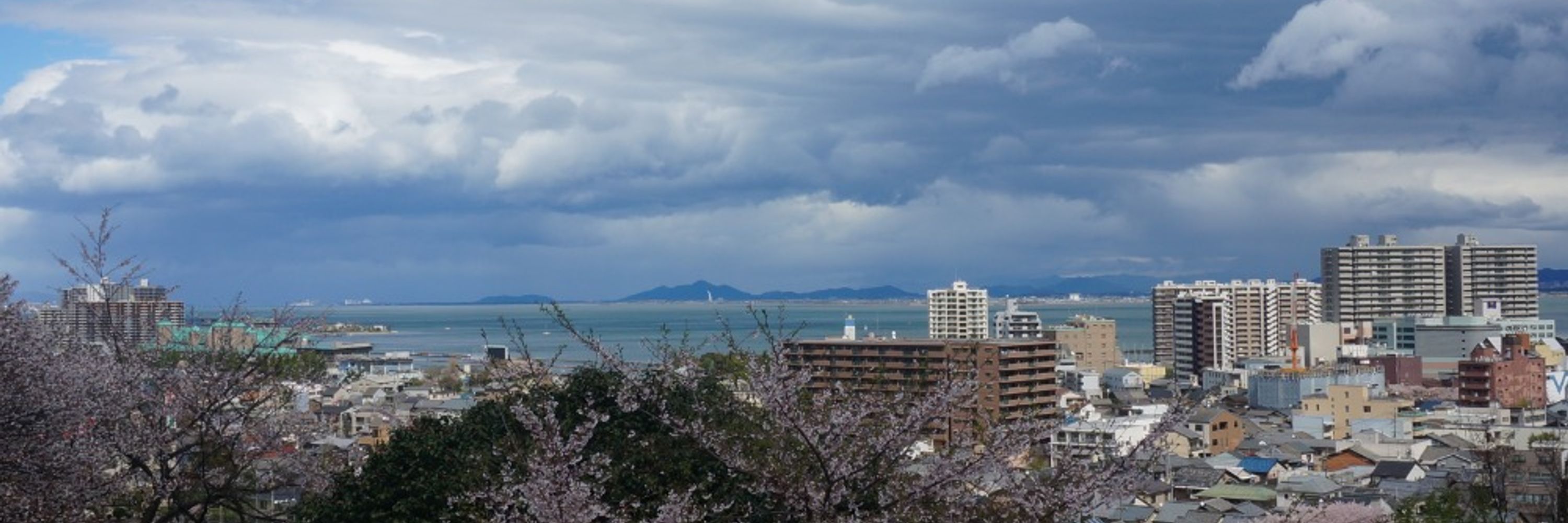 かもねぎ（根岸）