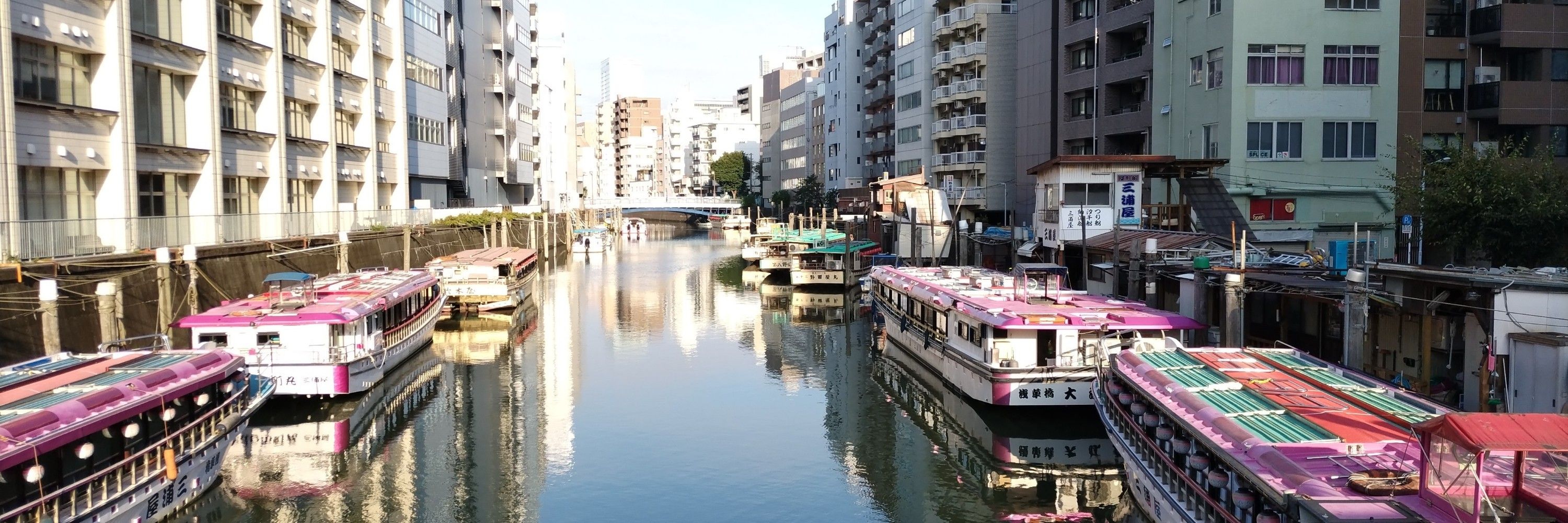 ライカＳＴ