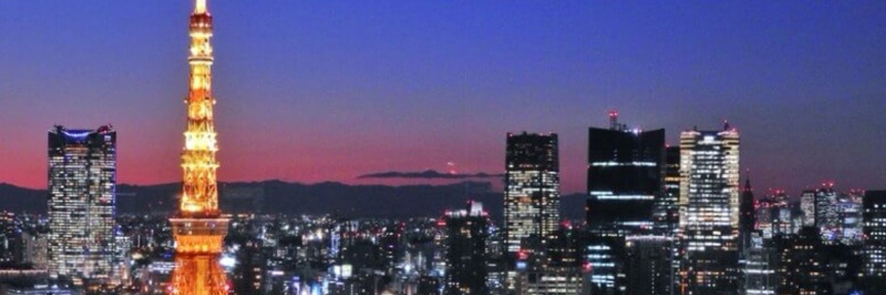 陽翔（ひなと）