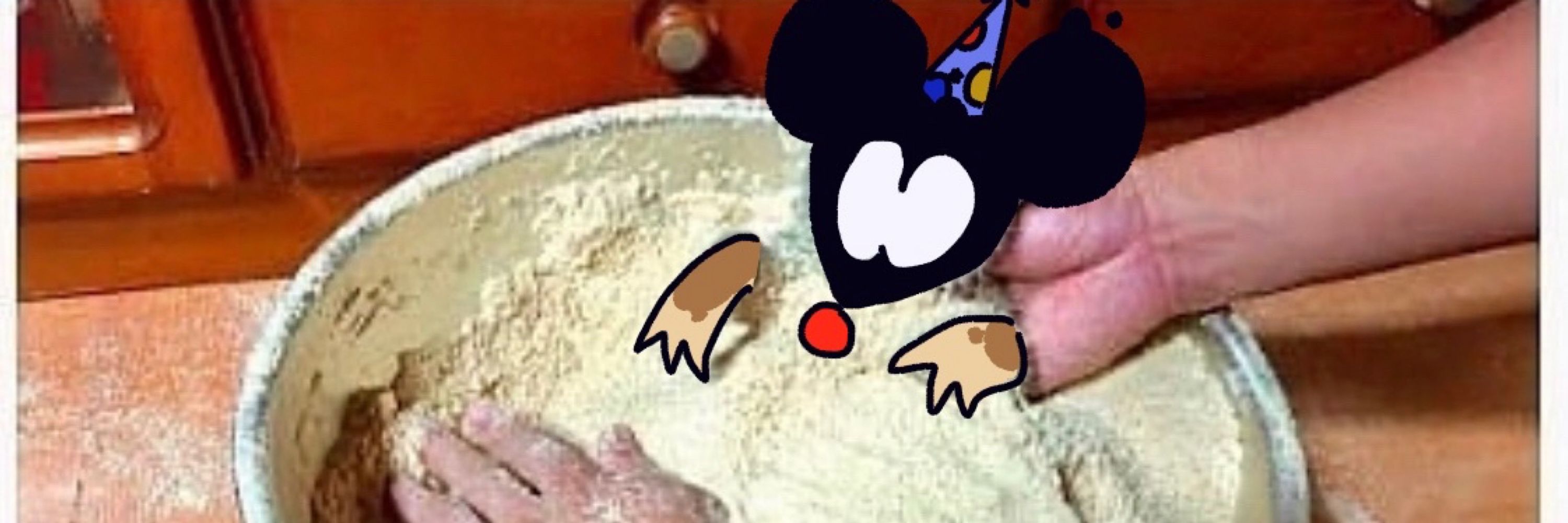 Dino🐀