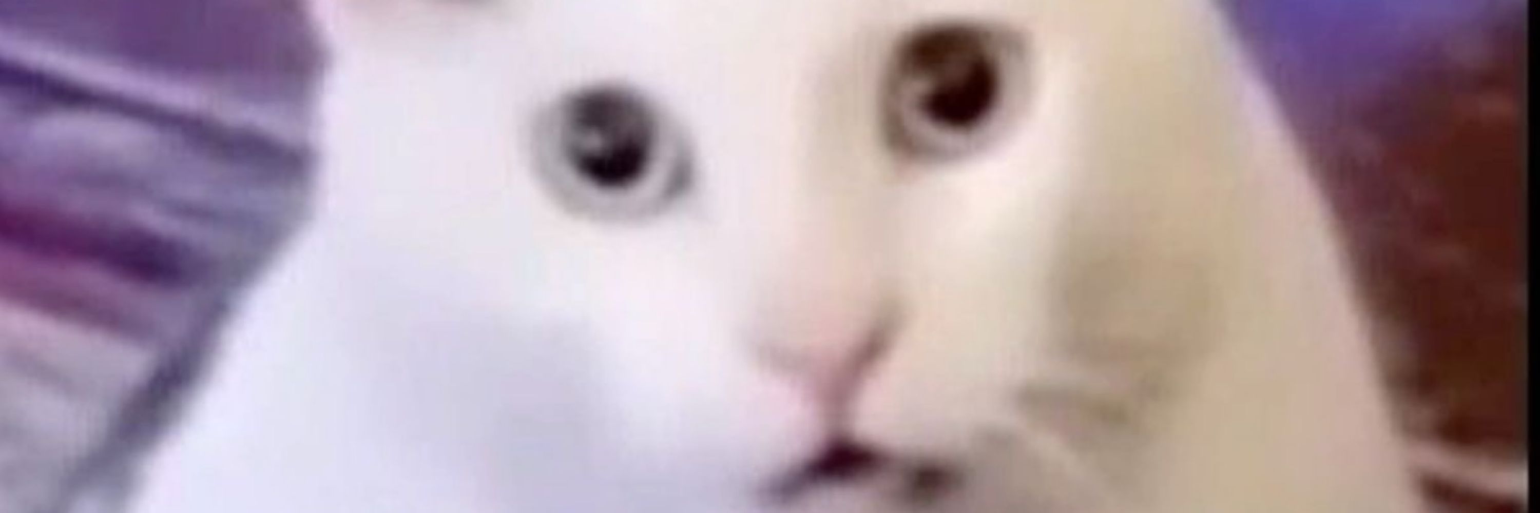 gluayyiii