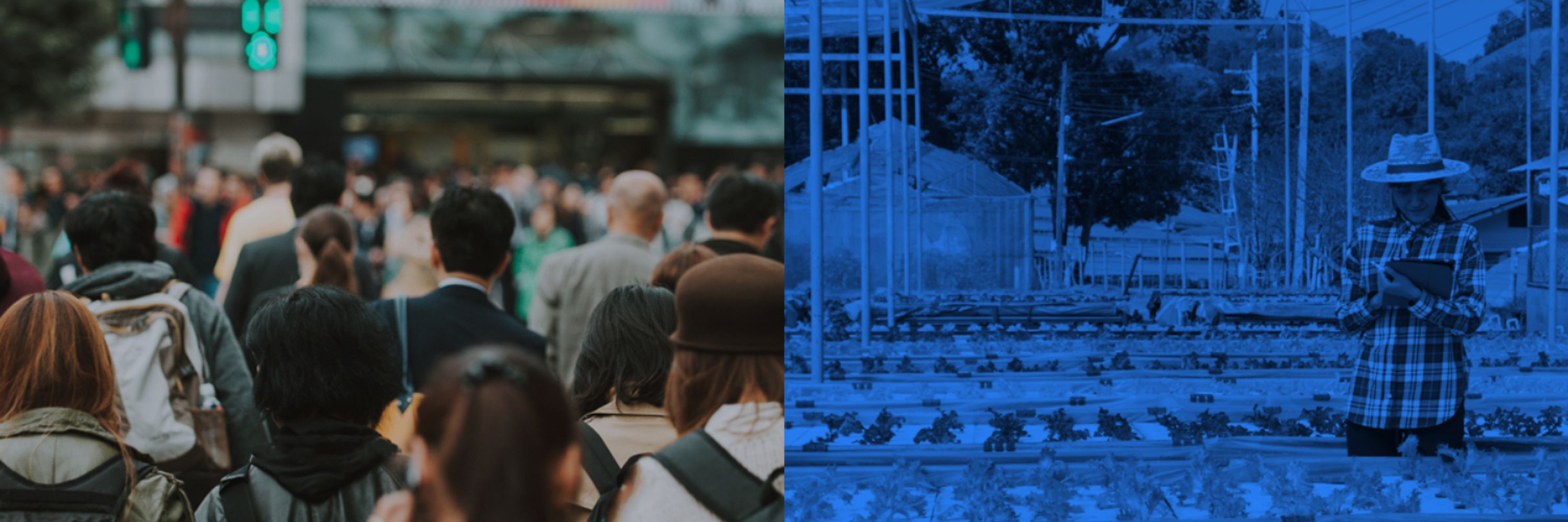 World Benchmarking Alliance