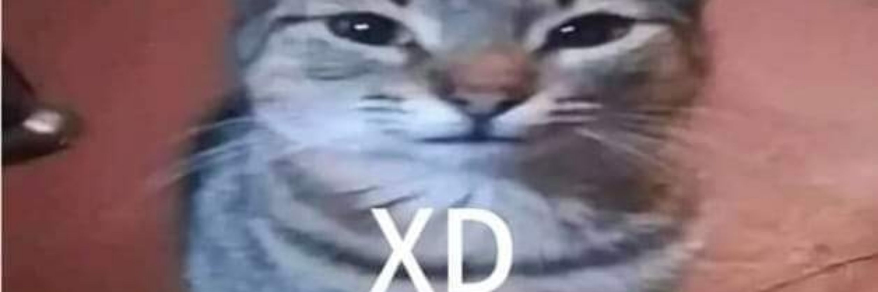 rpotkr