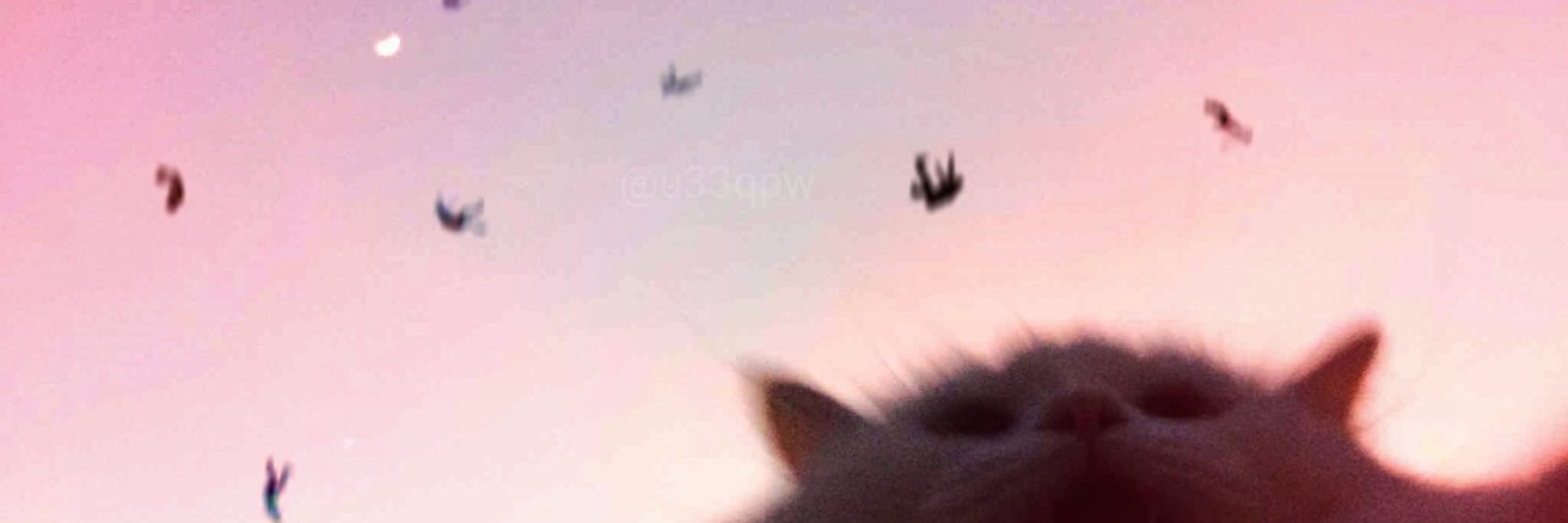 GodliestCat