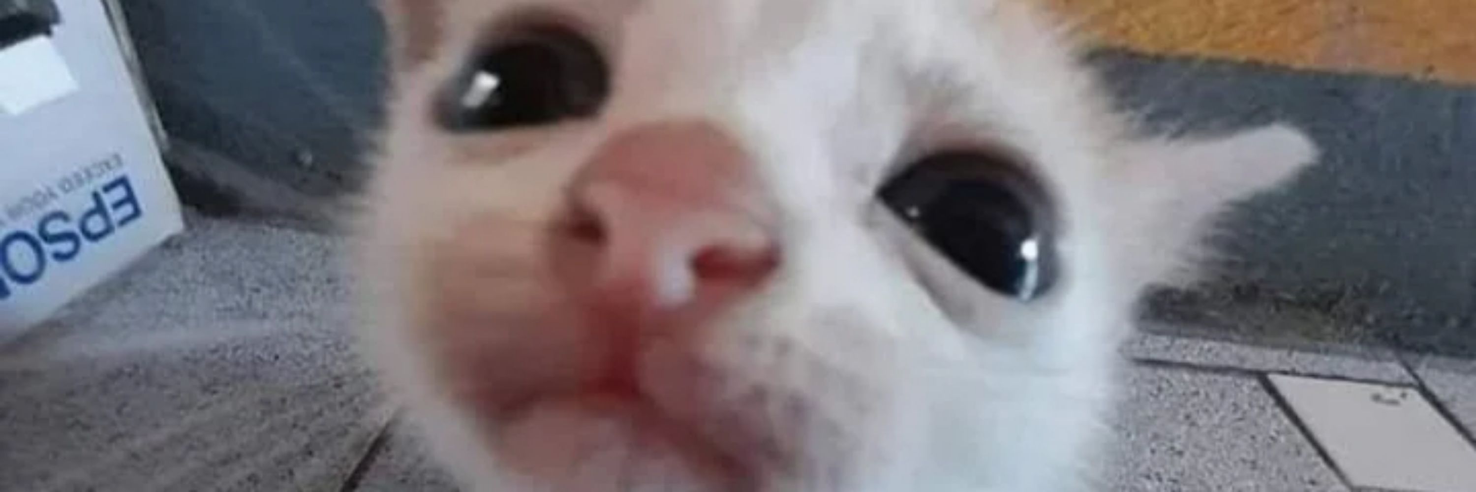 onoff