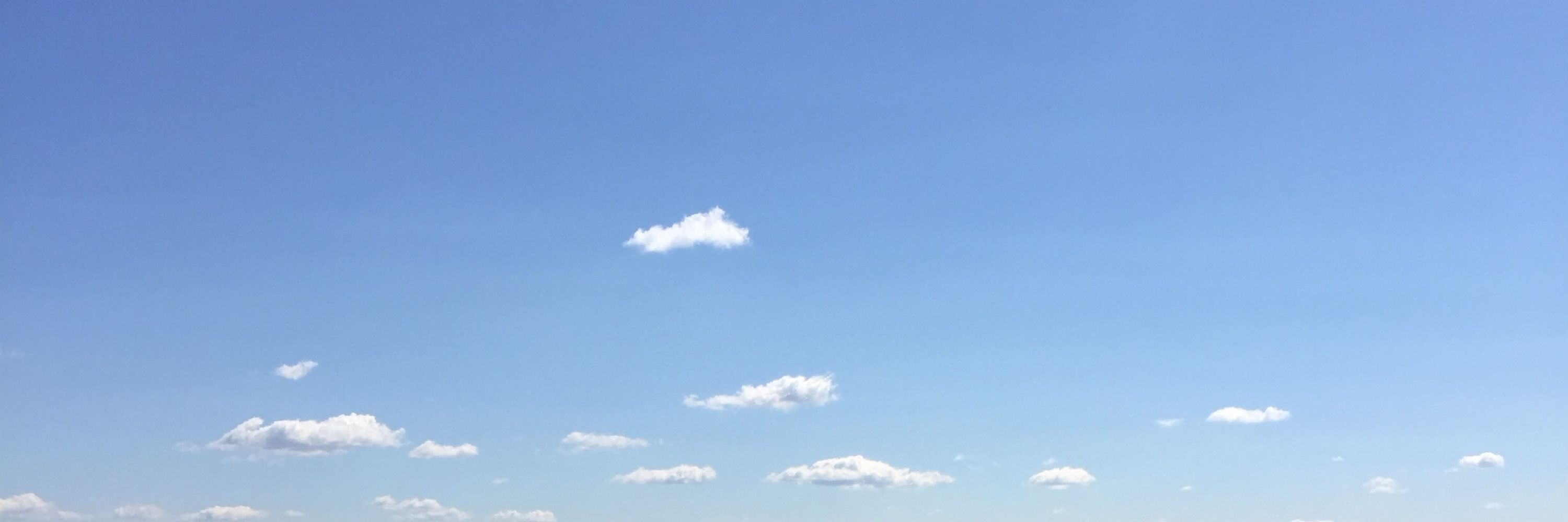ひよ蔵